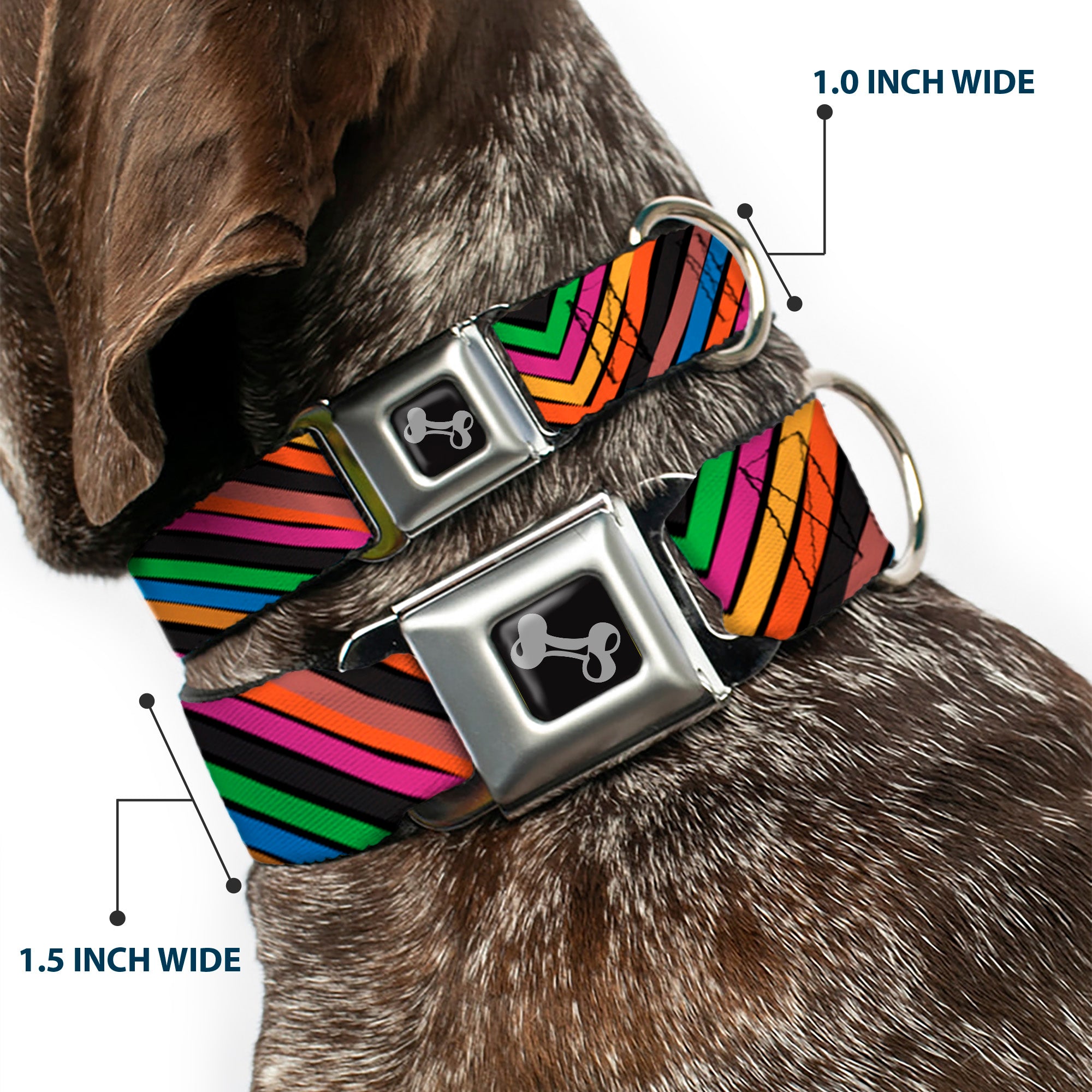 Dog Bone Seatbelt Buckle Collar - Chevron Freehand CLOSE-UP Multi Color Seatbelt Buckle Collars Buckle-Down