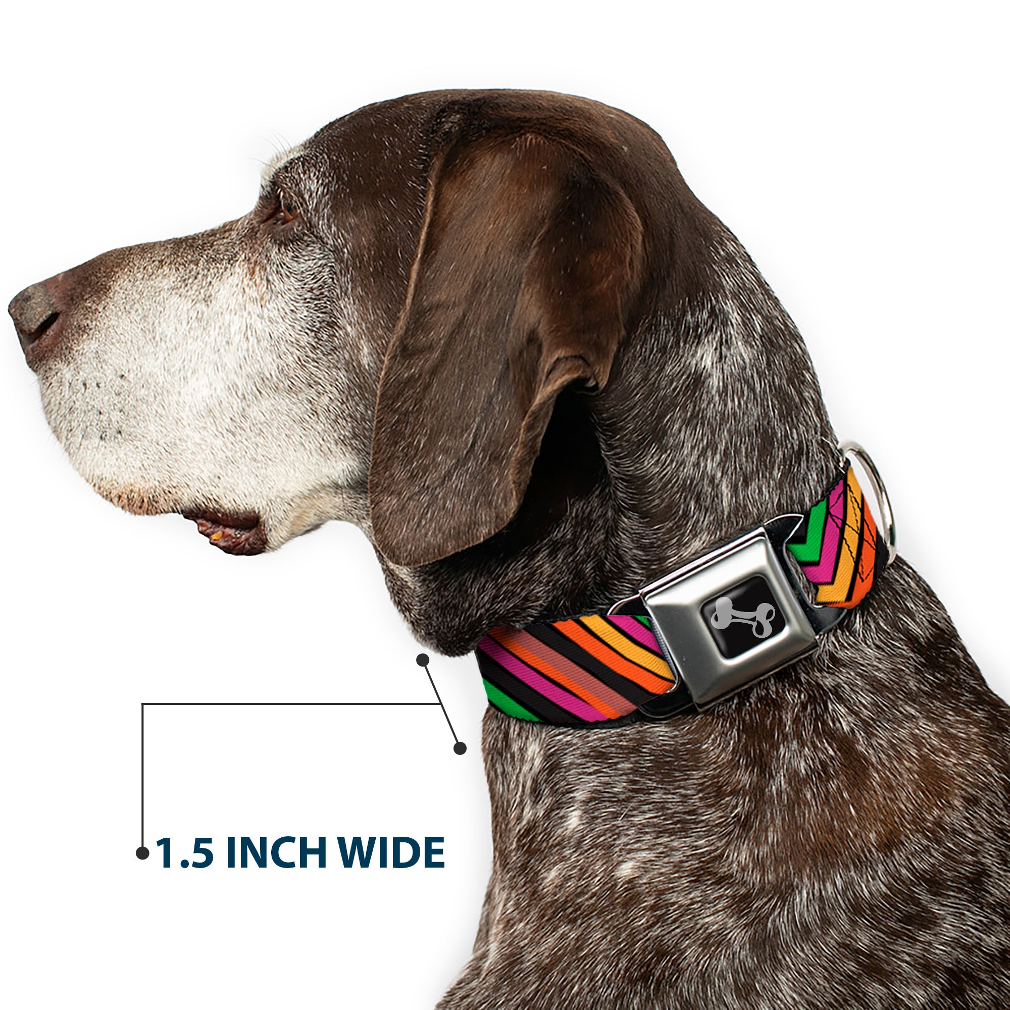 Dog Bone Seatbelt Buckle Collar - Chevron Freehand CLOSE-UP Multi Color Seatbelt Buckle Collars Buckle-Down