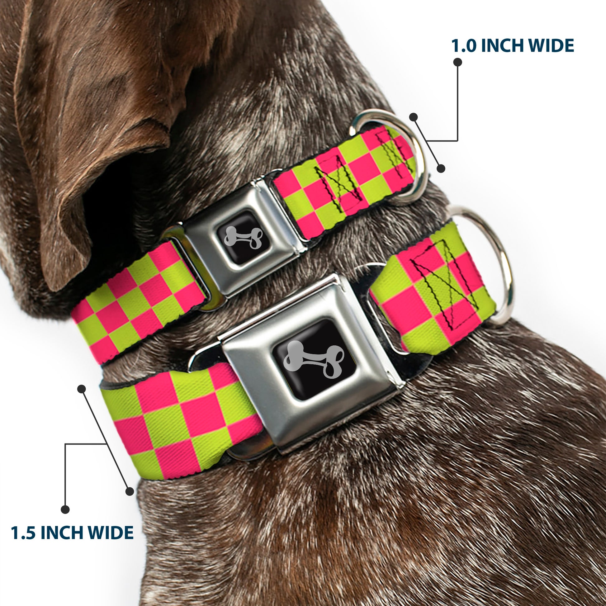 Dog Bone Seatbelt Buckle Collar - Checker Fluoresecent Pink/Yellow Seatbelt Buckle Collars Buckle-Down