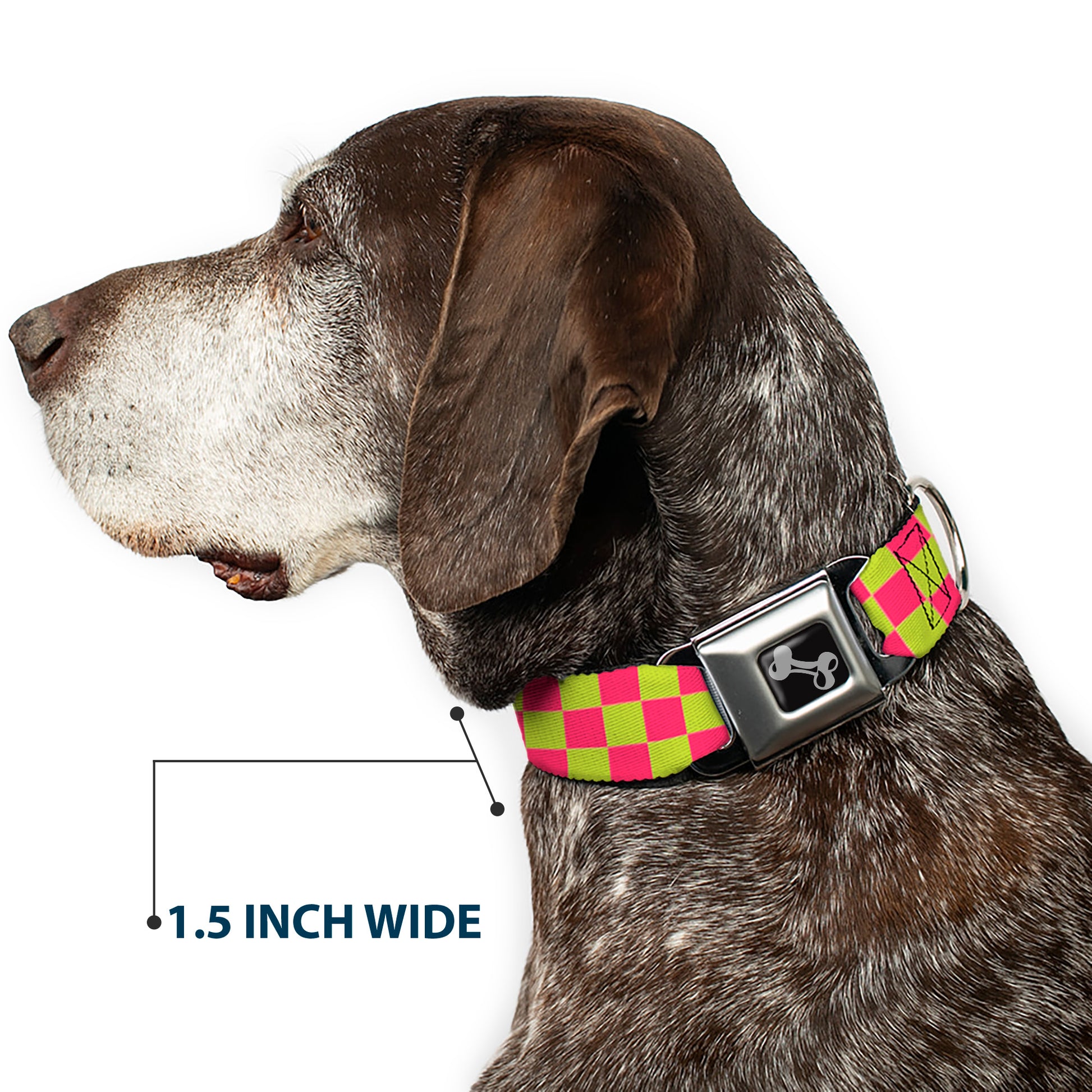 Dog Bone Seatbelt Buckle Collar - Checker Fluoresecent Pink/Yellow Seatbelt Buckle Collars Buckle-Down