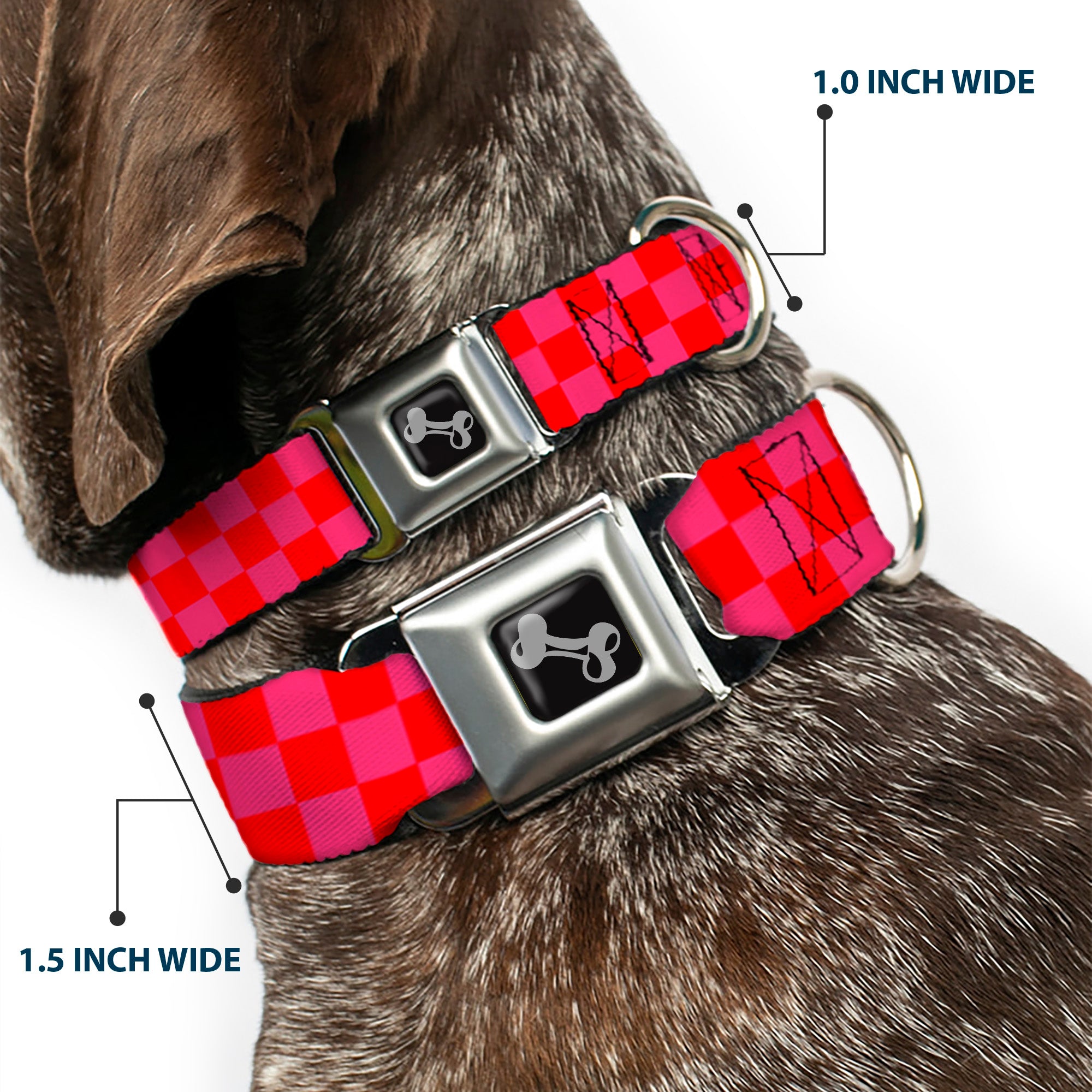 Dog Bone Seatbelt Buckle Collar - Checker Fluoresecent Orange/Pink Seatbelt Buckle Collars Buckle-Down