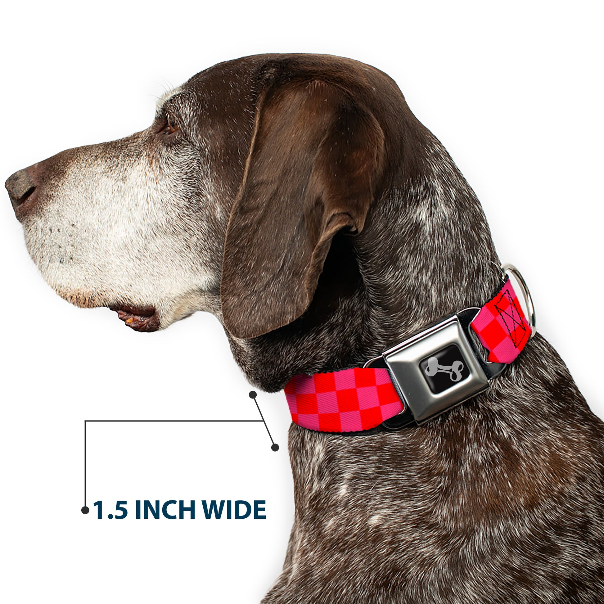 Dog Bone Seatbelt Buckle Collar - Checker Fluoresecent Orange/Pink Seatbelt Buckle Collars Buckle-Down