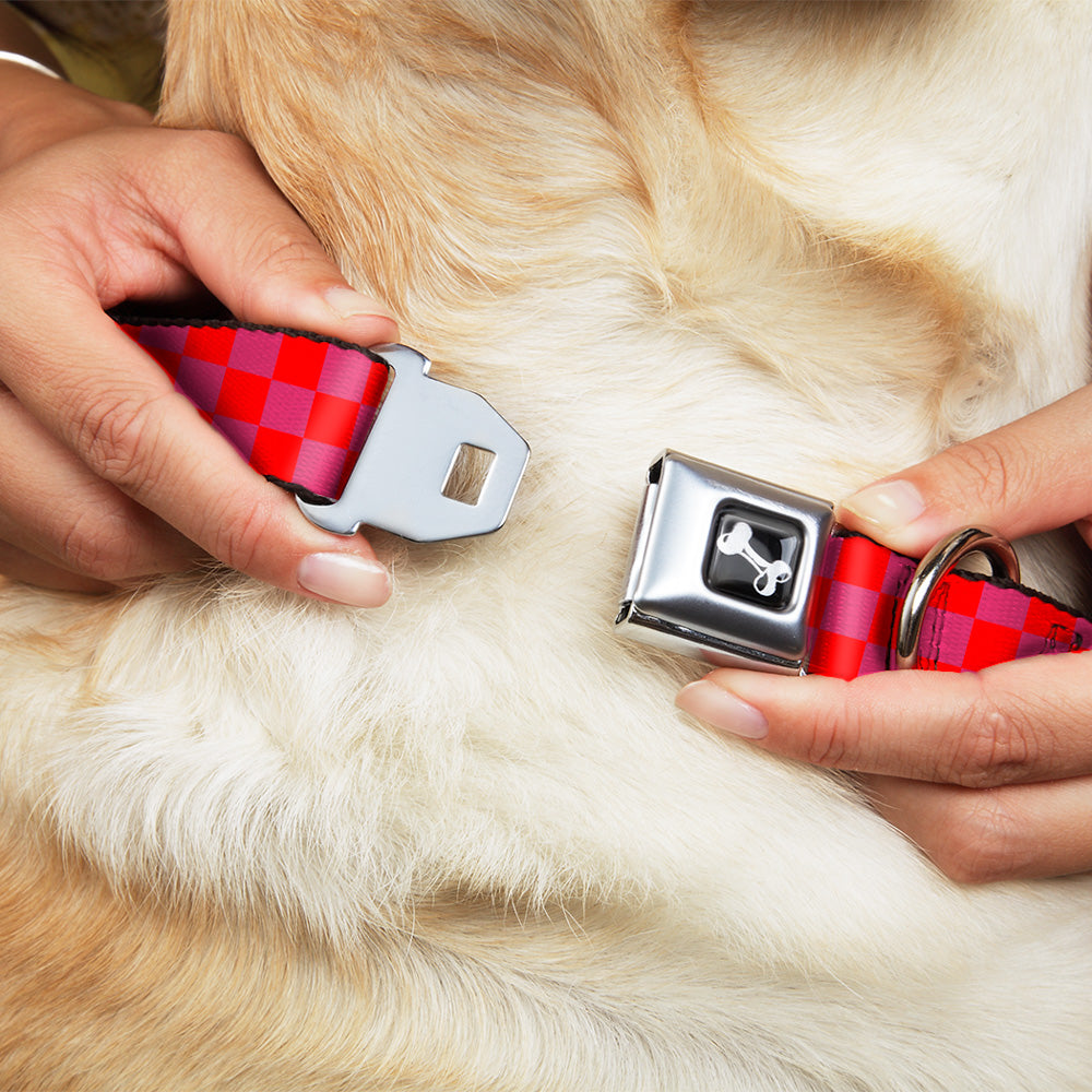 Dog Bone Seatbelt Buckle Collar - Checker Fluoresecent Orange/Pink Seatbelt Buckle Collars Buckle-Down