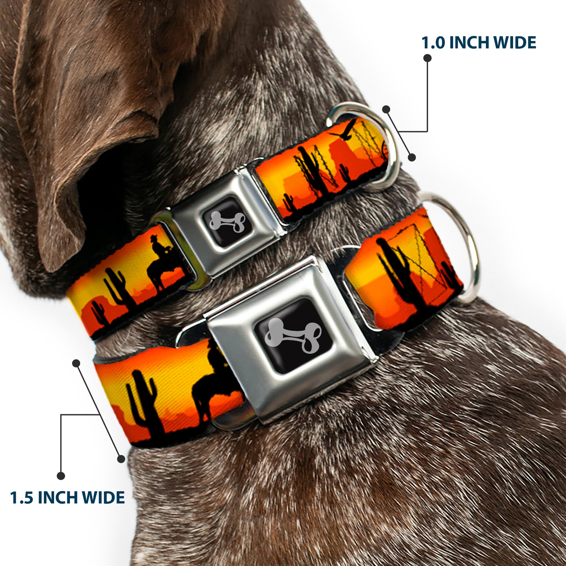 Dog Bone Seatbelt Buckle Collar - Cowboy Silhouette/Western Landscape Reds/Black Seatbelt Buckle Collars Buckle-Down