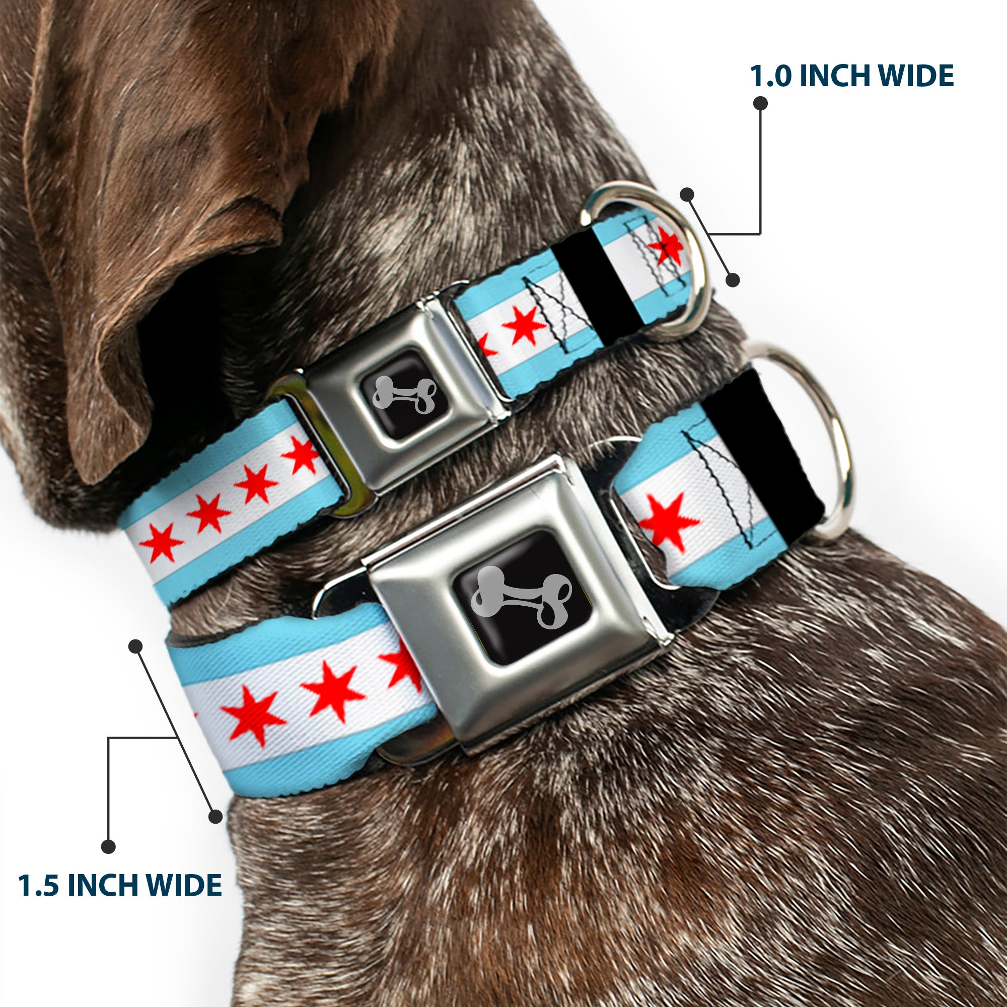 Dog Bone Seatbelt Buckle Collar - Chicago Flags/Black Seatbelt Buckle Collars Buckle-Down