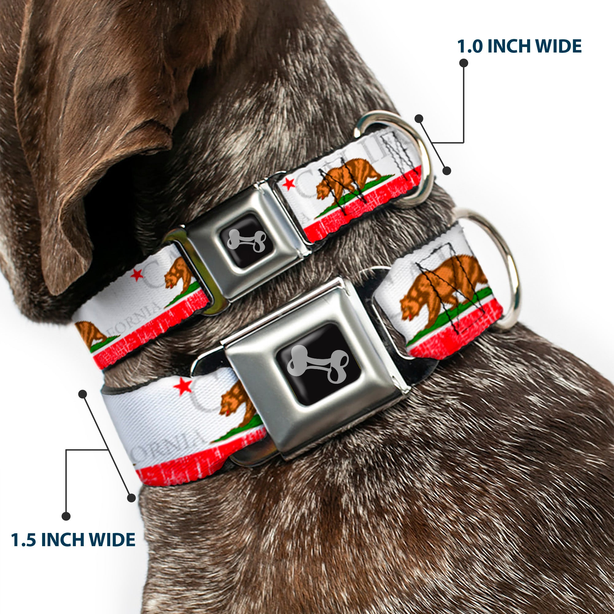 Dog Bone Seatbelt Buckle Collar - CALIFORNIA Bear/Star/Crackle Stripe White/Gray/Red Seatbelt Buckle Collars Buckle-Down
