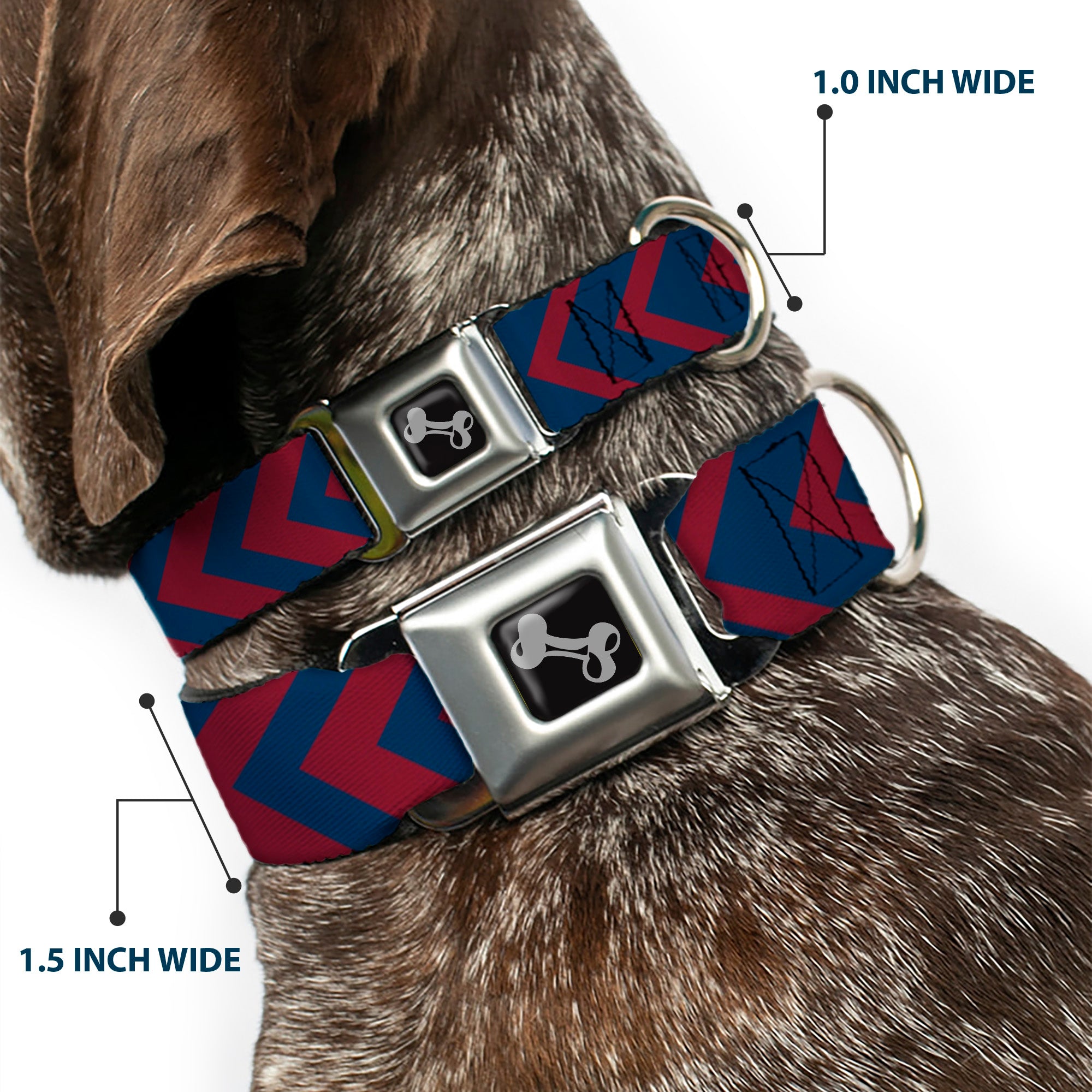 Dog Bone Seatbelt Buckle Collar - Chevron2 Red/Navy Seatbelt Buckle Collars Buckle-Down