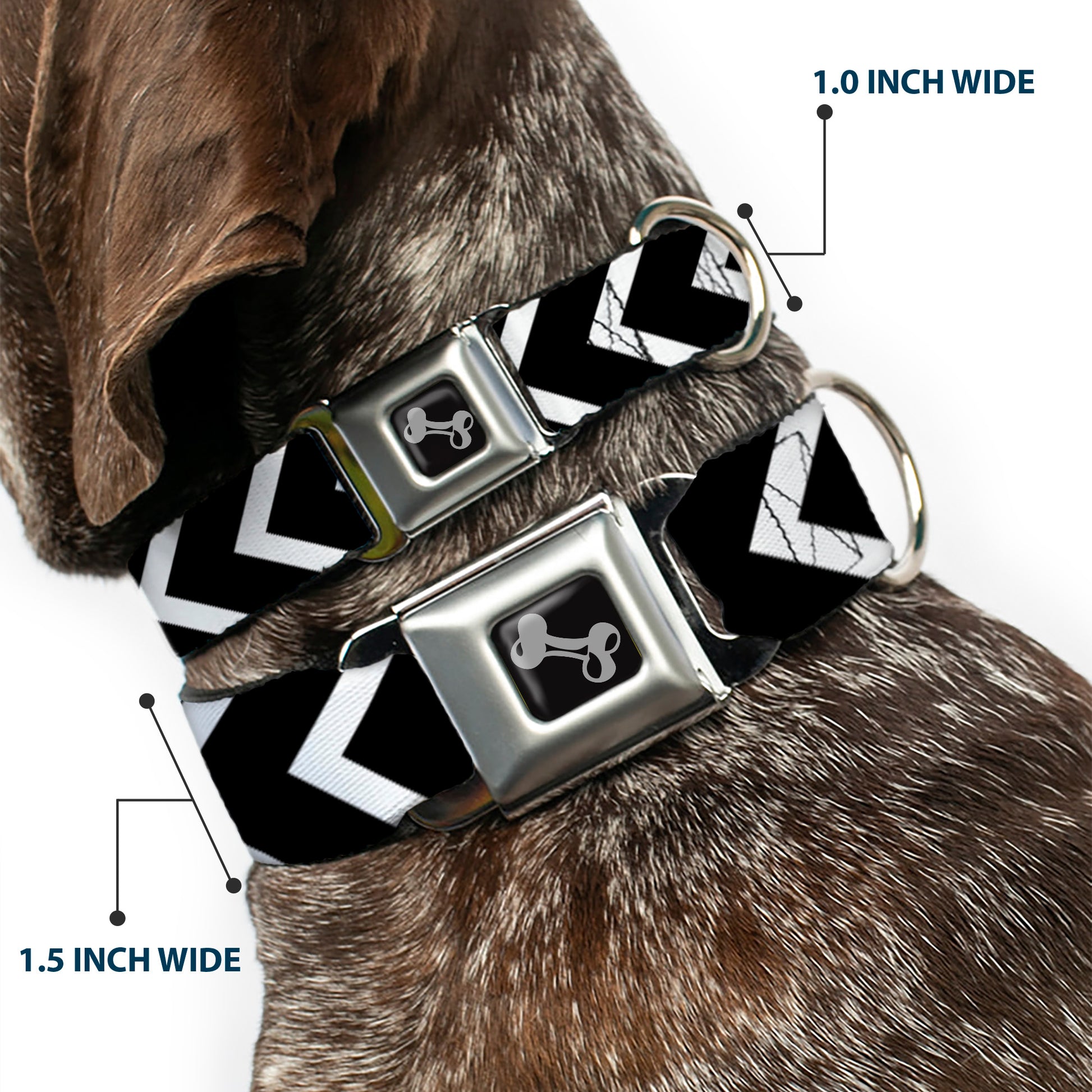 Dog Bone Seatbelt Buckle Collar - Chevron2 White/Black Seatbelt Buckle Collars Buckle-Down