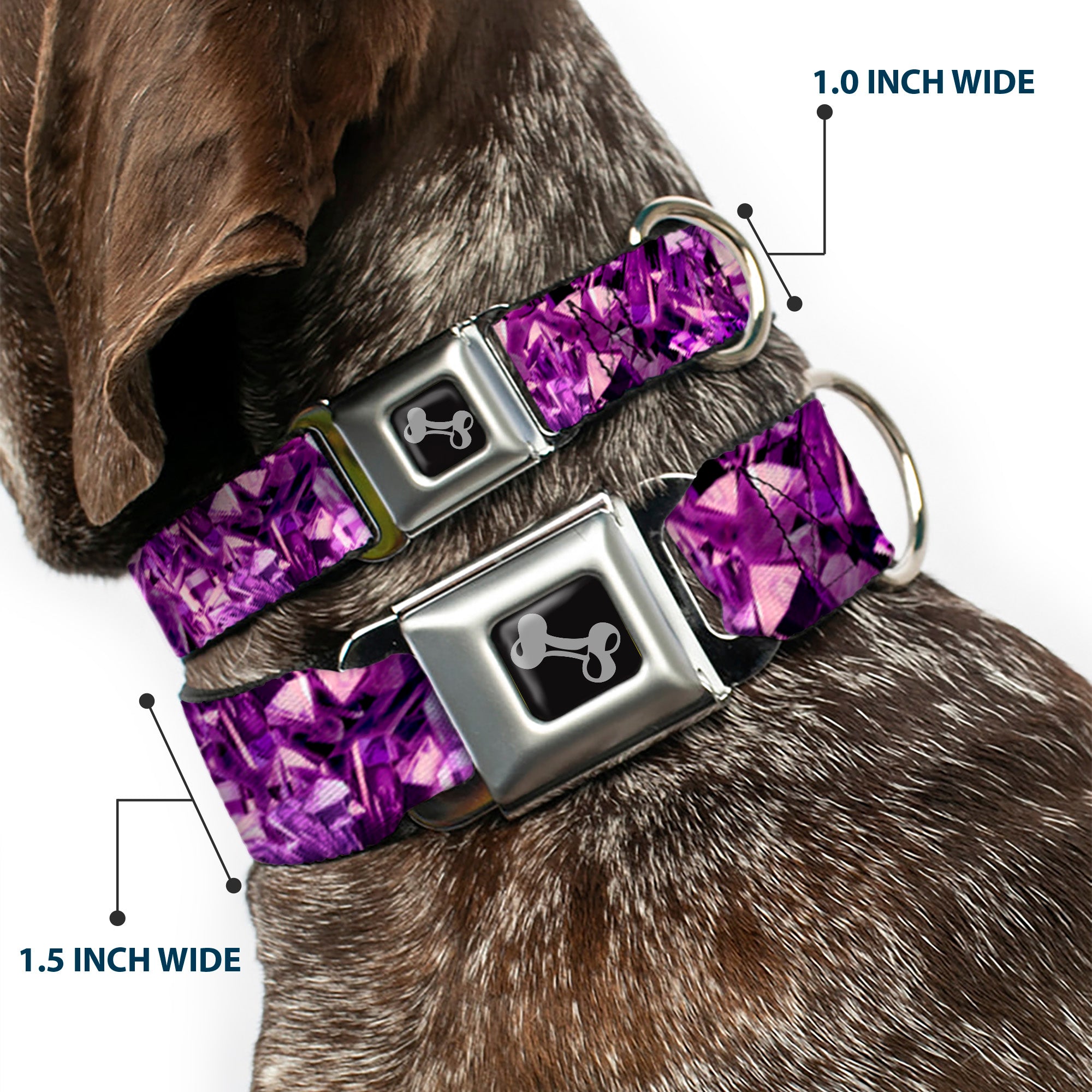 Dog Bone Seatbelt Buckle Collar - Crystals Purples Seatbelt Buckle Collars Buckle-Down
