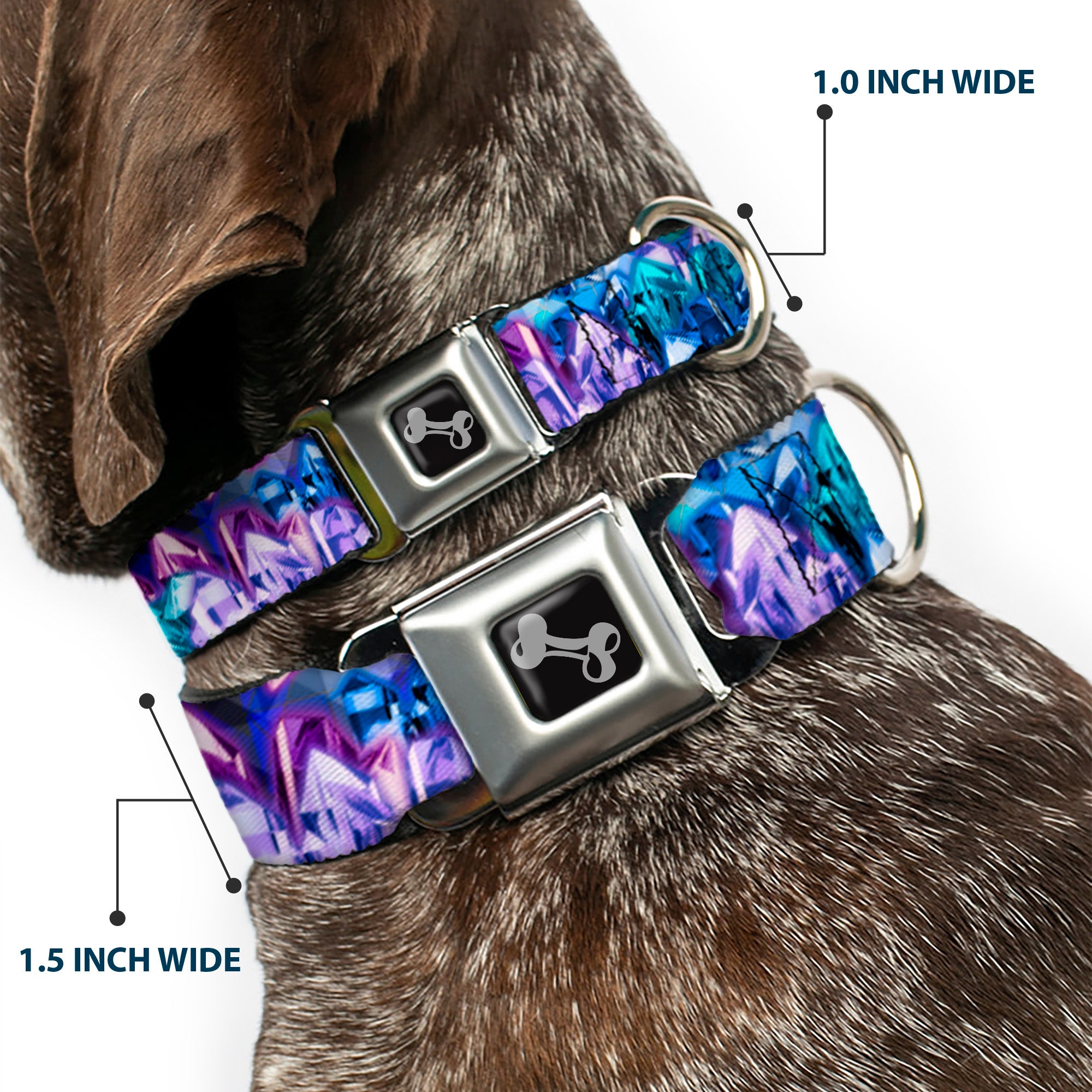 Dog Bone Seatbelt Buckle Collar - Crystals2 Blues/Purples Seatbelt Buckle Collars Buckle-Down