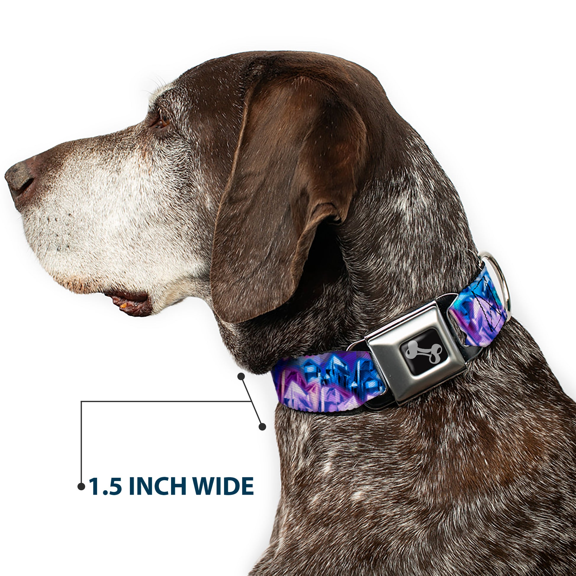 Dog Bone Seatbelt Buckle Collar - Crystals2 Blues/Purples Seatbelt Buckle Collars Buckle-Down