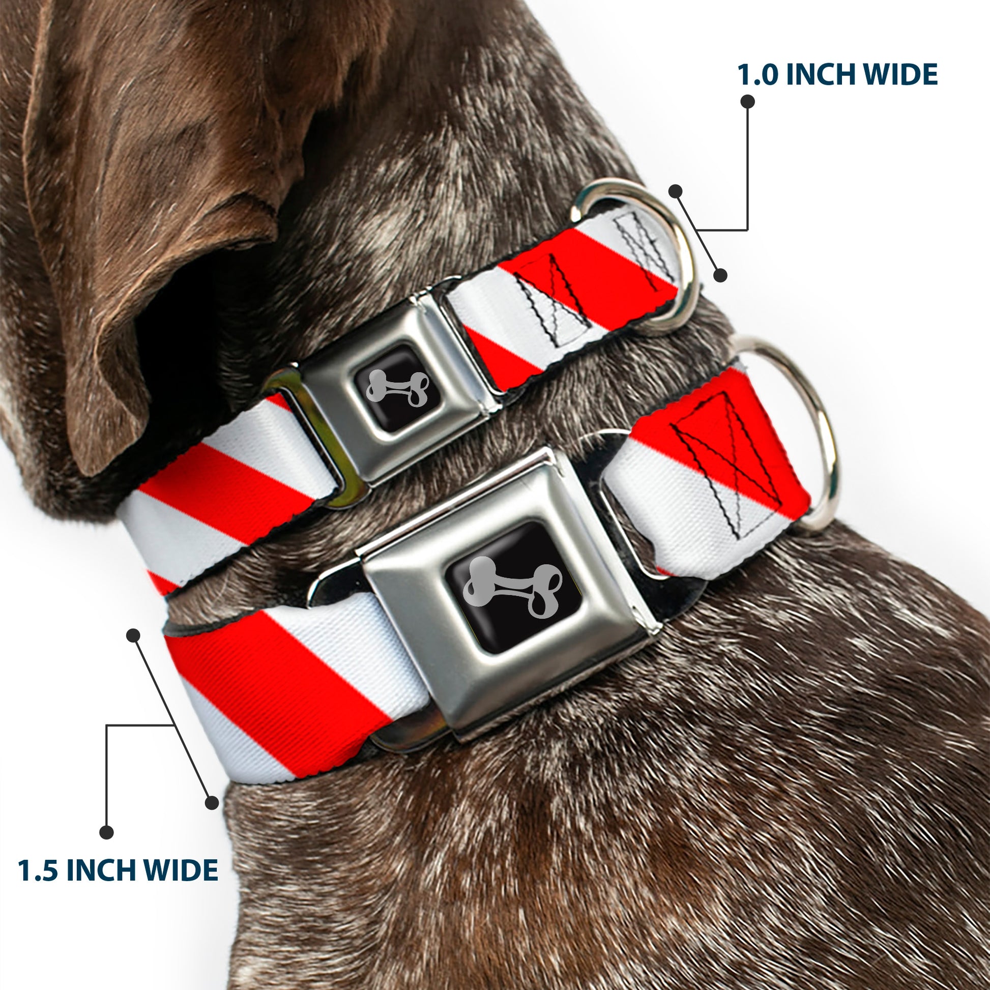 Dog Bone Seatbelt Buckle Collar - Candy Cane2 Stripe White/Red Seatbelt Buckle Collars Buckle-Down
