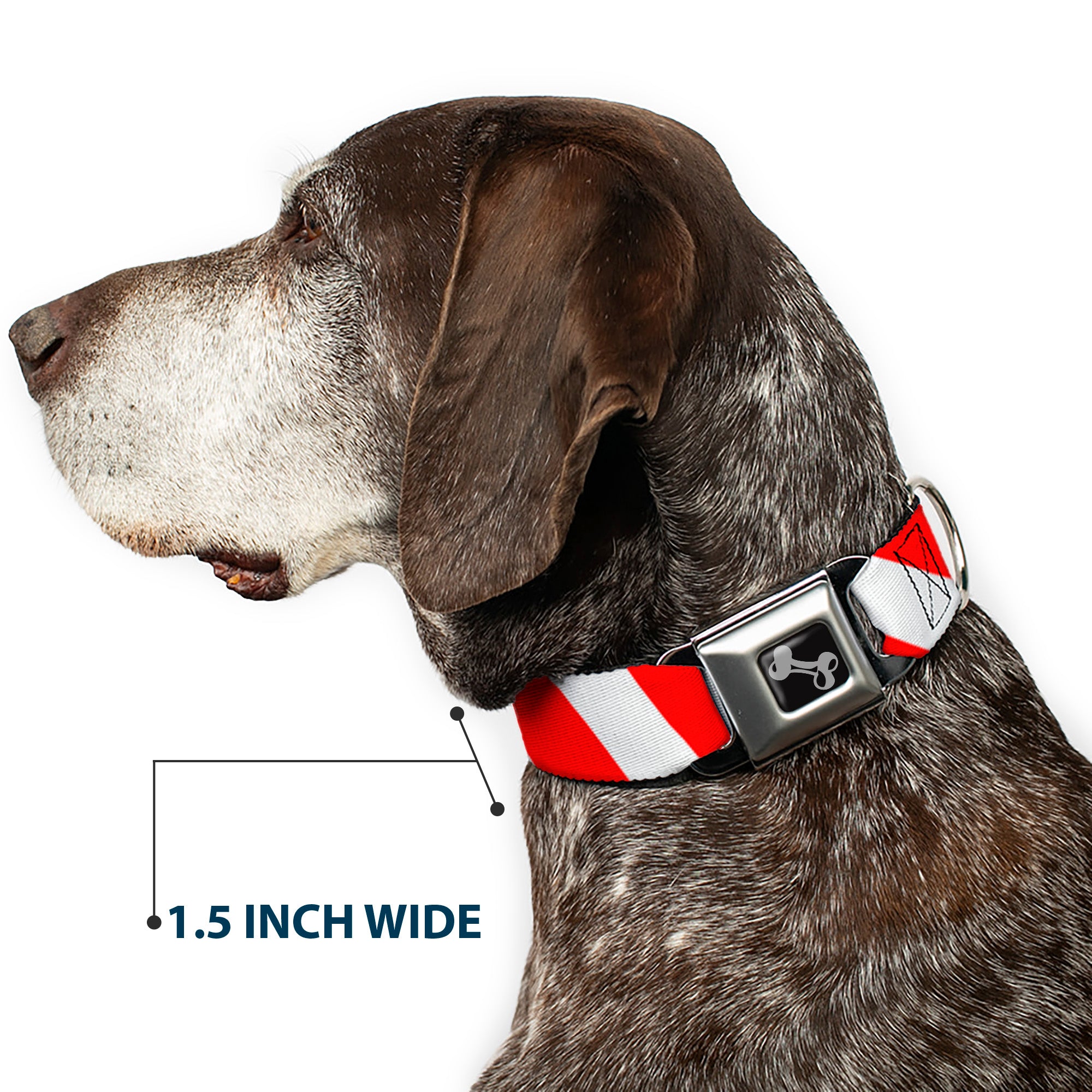 Dog Bone Seatbelt Buckle Collar - Candy Cane2 Stripe White/Red Seatbelt Buckle Collars Buckle-Down