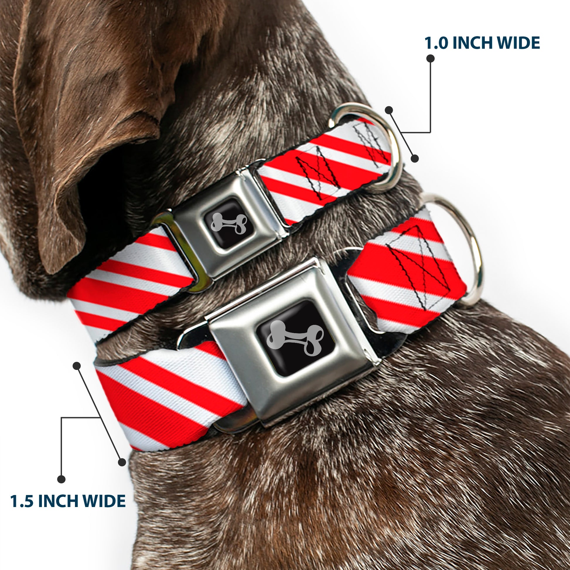 Dog Bone Seatbelt Buckle Collar - Candy Cane3 Stripe White/3-Red Seatbelt Buckle Collars Buckle-Down