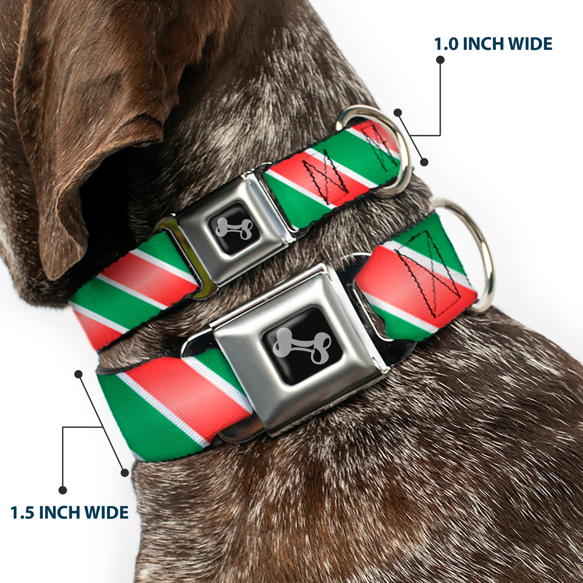Dog Bone Seatbelt Buckle Collar - Candy Cane4 White/Red/Green Seatbelt Buckle Collars Buckle-Down