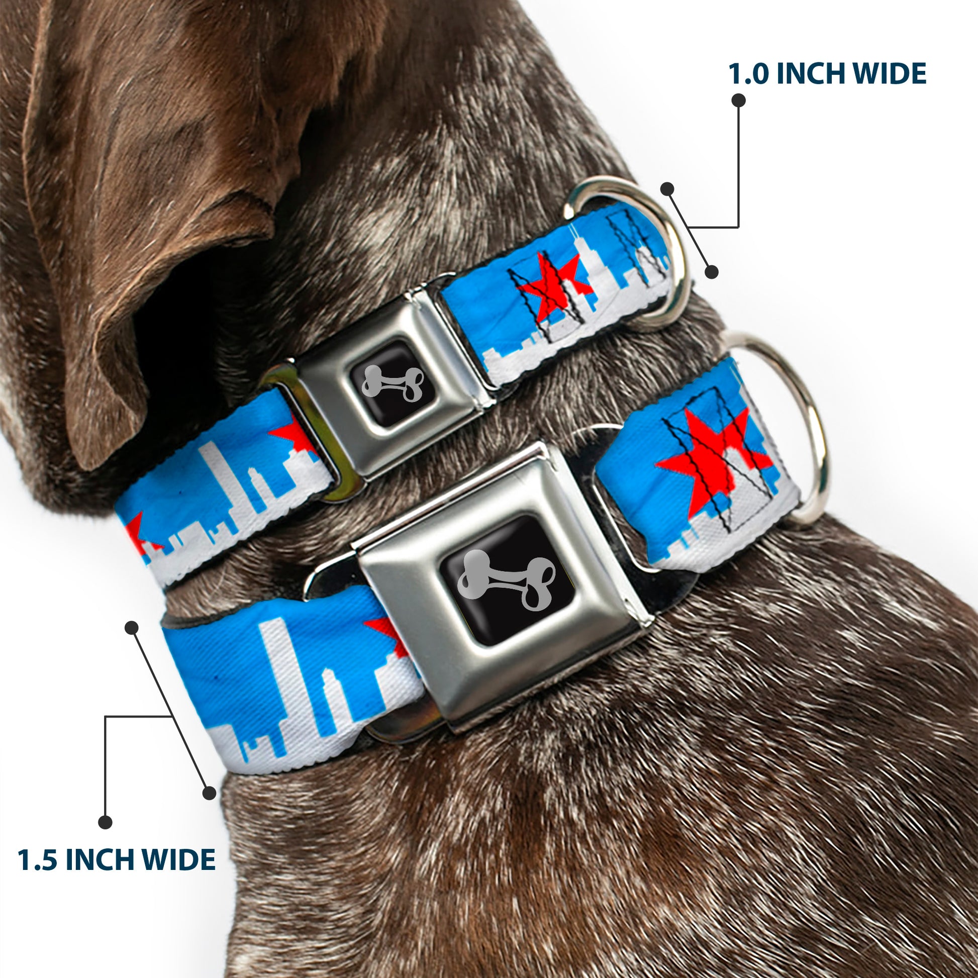 Dog Bone Seatbelt Buckle Collar - Chicago Skyline/Flag Distressed Black/White/Red Seatbelt Buckle Collars Buckle-Down