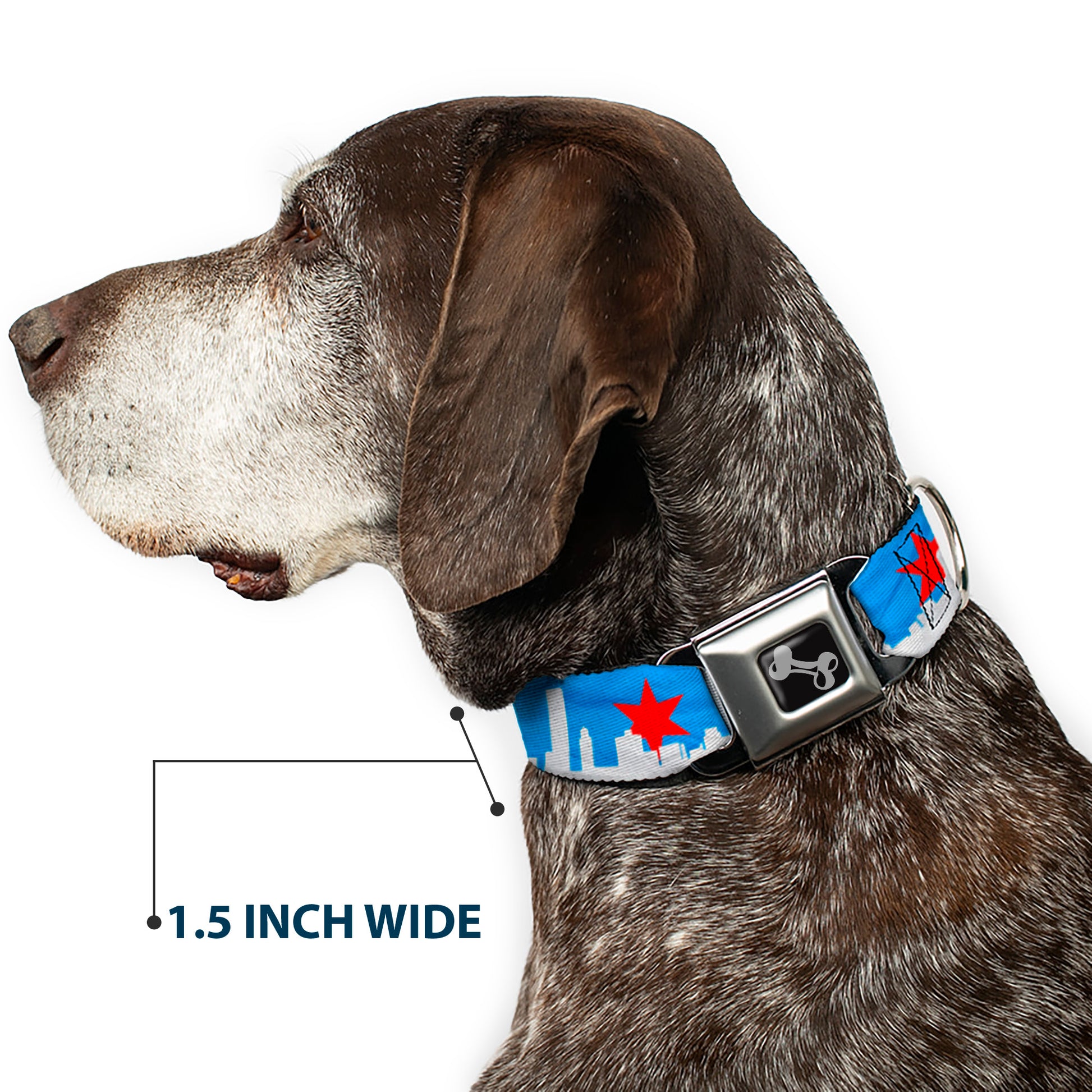 Dog Bone Seatbelt Buckle Collar - Chicago Skyline/Flag Distressed Black/White/Red Seatbelt Buckle Collars Buckle-Down