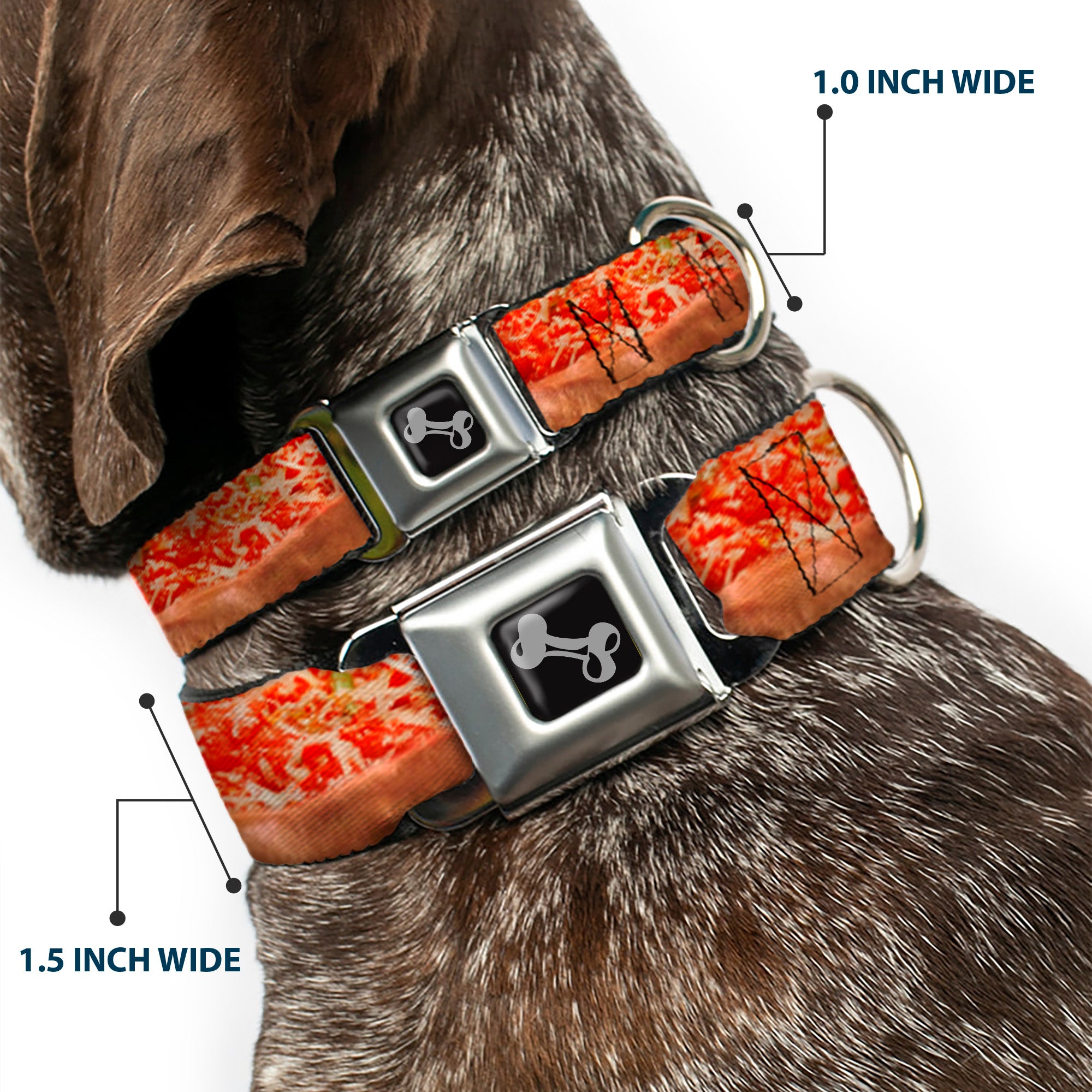Dog Bone Seatbelt Buckle Collar - Chicago Style Pizza Vivid Seatbelt Buckle Collars Buckle-Down