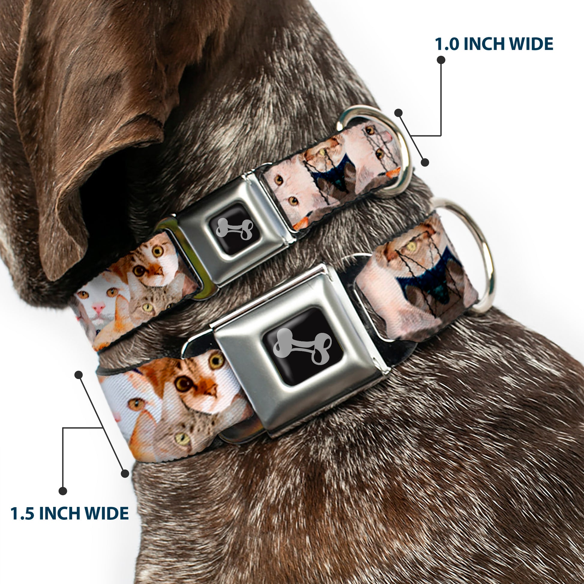 Dog Bone Seatbelt Buckle Collar - Cat Faces Stacked Seatbelt Buckle Collars Buckle-Down