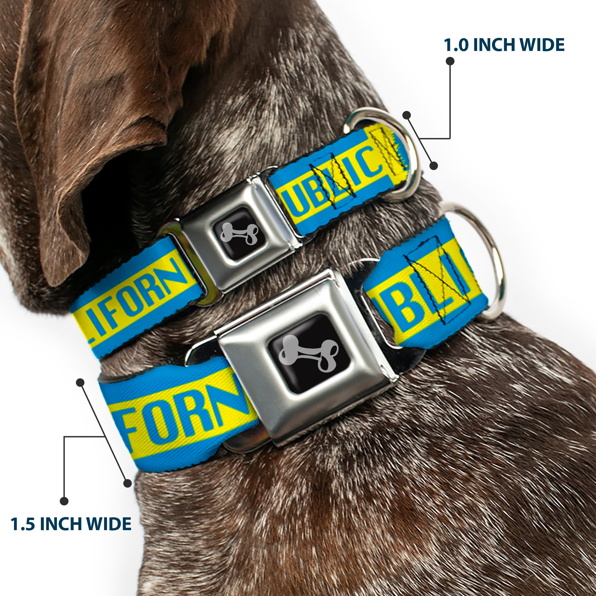 Dog Bone Seatbelt Buckle Collar - CALIFORNIA REPUBLIC/Bear/Stars Silhouette Yellow/Blue Seatbelt Buckle Collars Buckle-Down