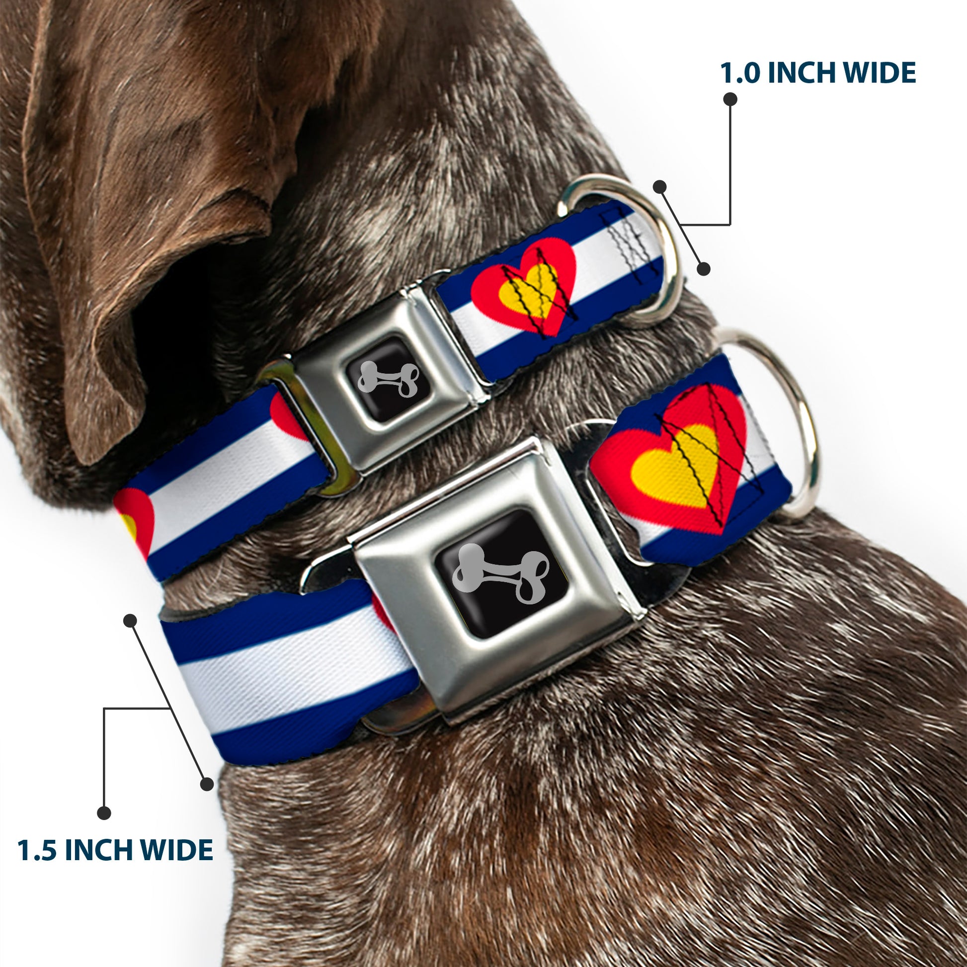 Dog Bone Seatbelt Buckle Collar - Colorado Heart Blue/White/Red/Yellow Seatbelt Buckle Collars Buckle-Down
