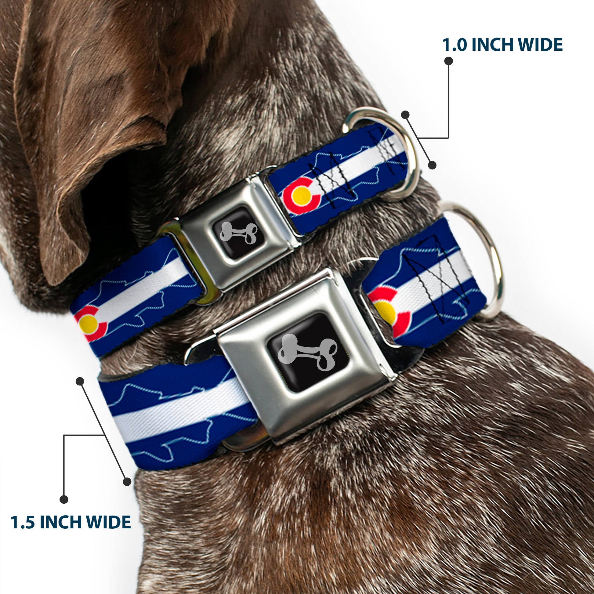 Dog Bone Seatbelt Buckle Collar - Colorado Trout Flag/Snowy Mountains Blues/White/Red/Yellow Seatbelt Buckle Collars Buckle-Down