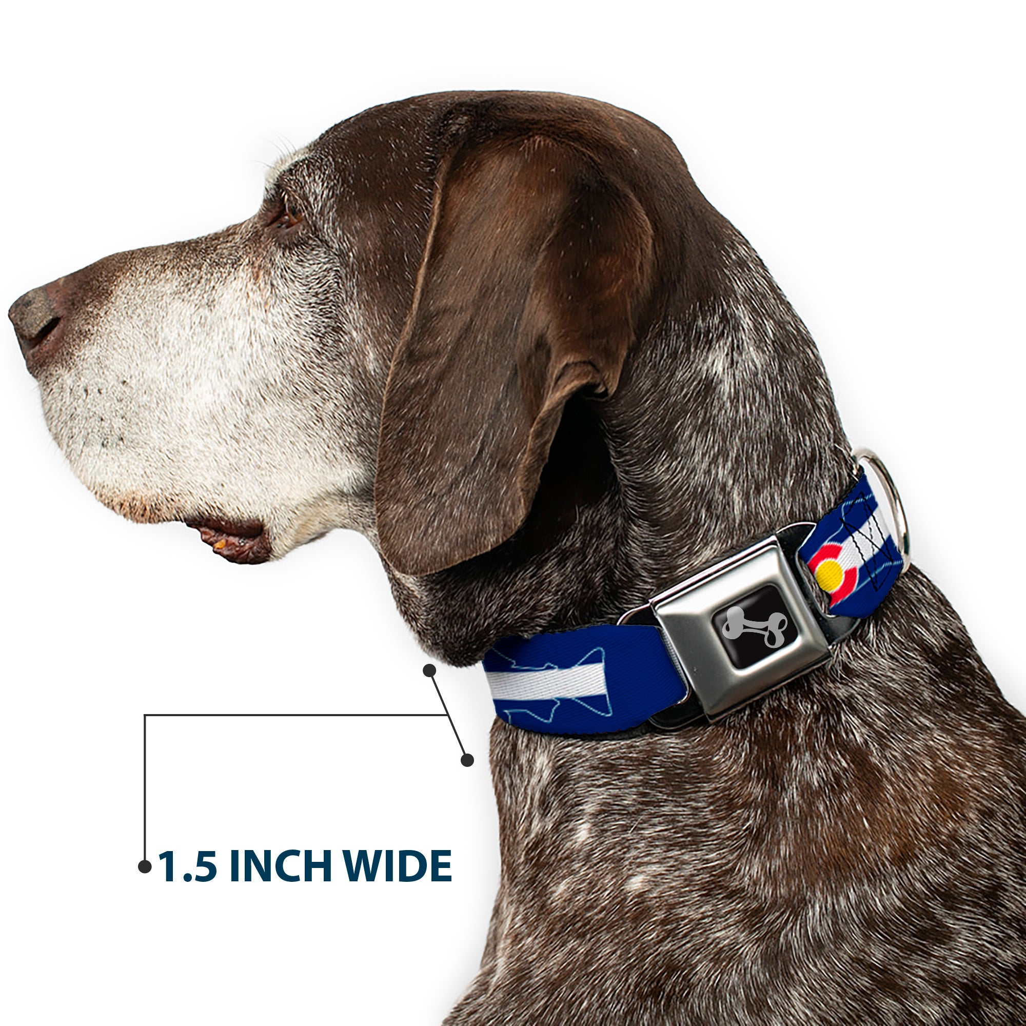 Dog Bone Seatbelt Buckle Collar - Colorado Trout Flag/Snowy Mountains Blues/White/Red/Yellow Seatbelt Buckle Collars Buckle-Down