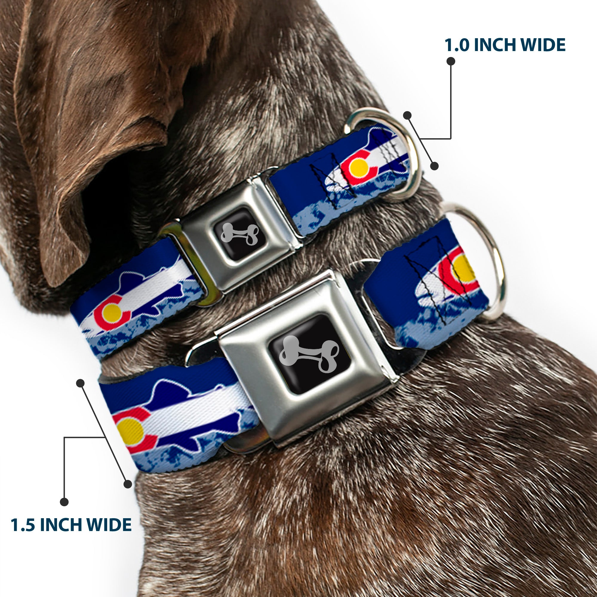 Dog Bone Seatbelt Buckle Collar - Colorado Trout Flag Blue/White/Red/Yellow Seatbelt Buckle Collars Buckle-Down