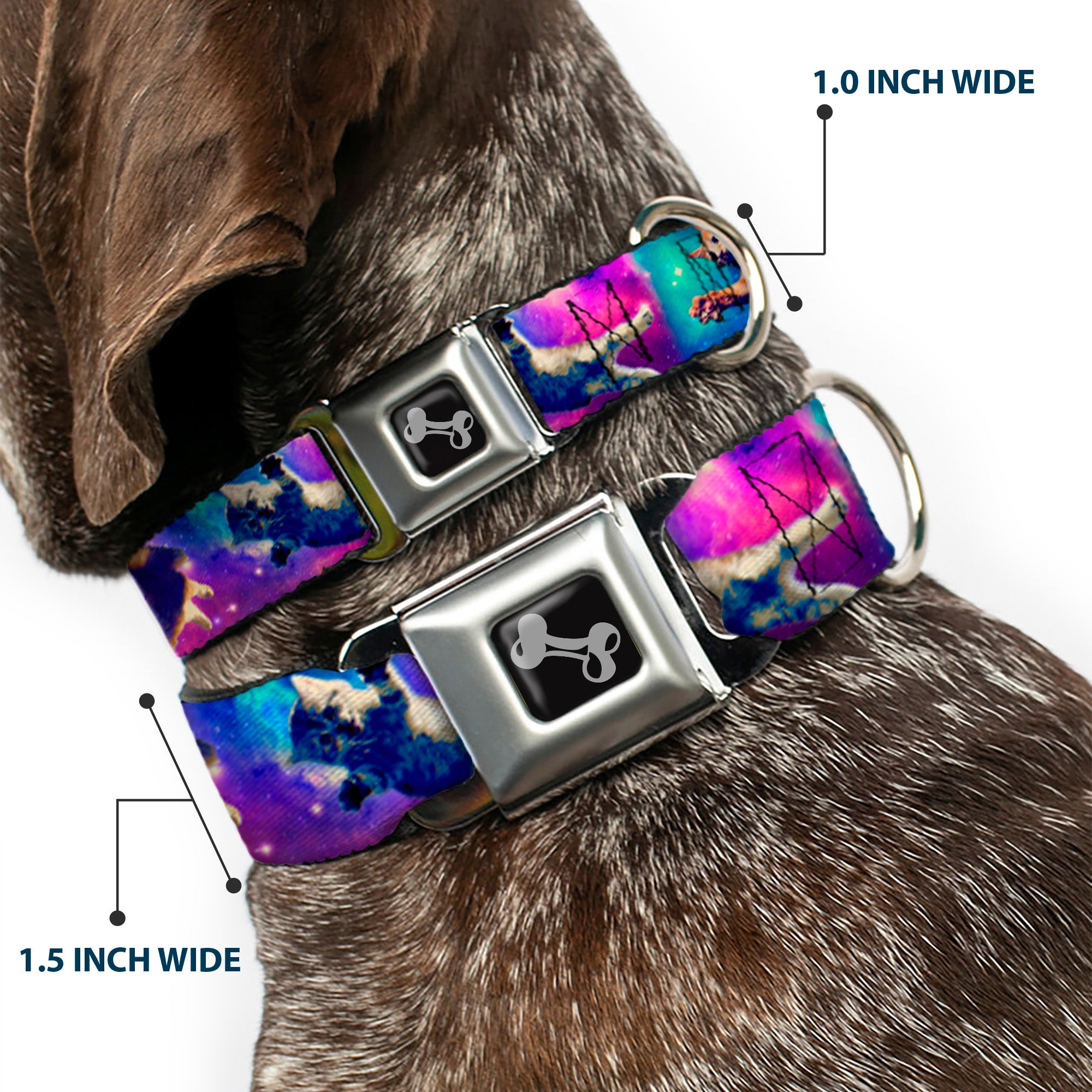 Dog Bone Seatbelt Buckle Collar - Cats in Space Pinks/Blues Seatbelt Buckle Collars Buckle-Down