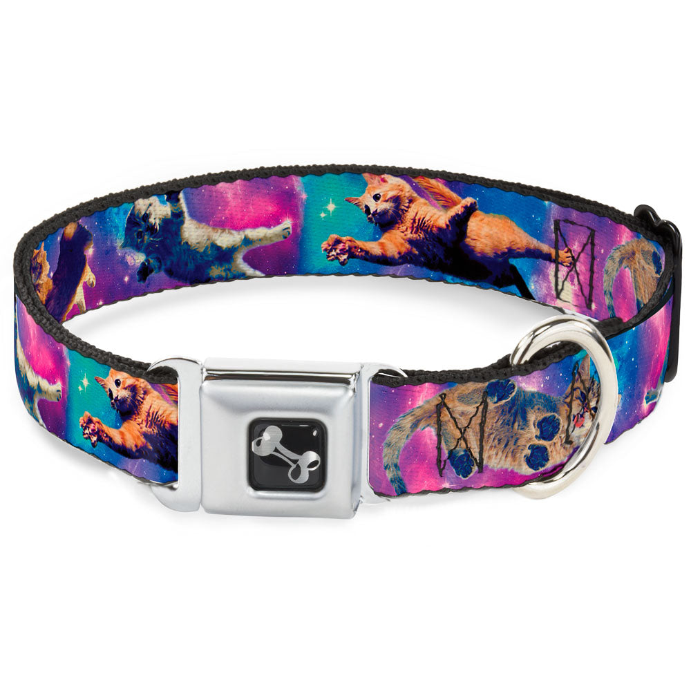 Dog Bone Seatbelt Buckle Collar - Cats in Space Pinks/Blues Seatbelt Buckle Collars Buckle-Down