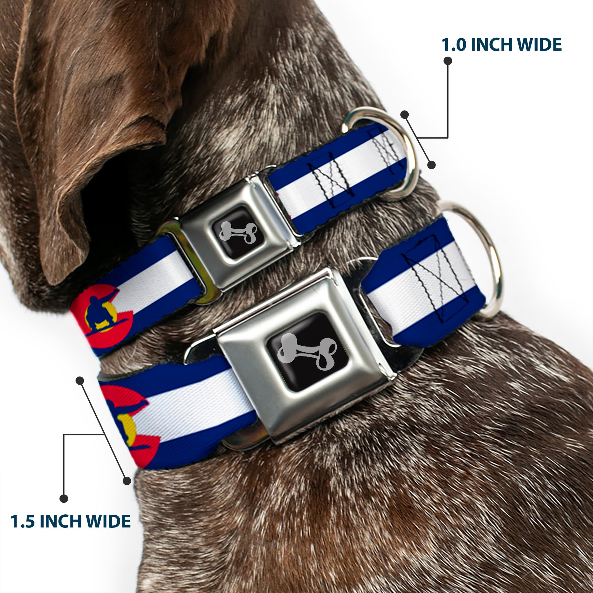 Dog Bone Seatbelt Buckle Collar - Colorado Flag/Snowboarder Blue/White/Red/Yellow Seatbelt Buckle Collars Buckle-Down