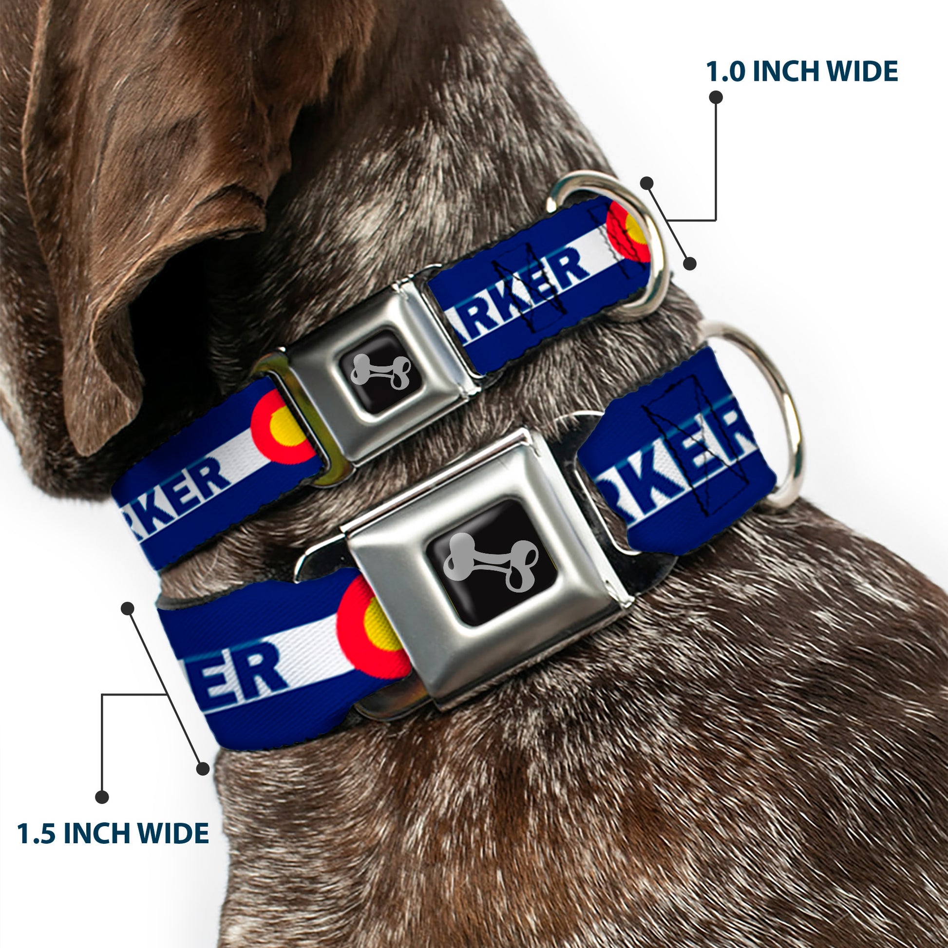 Dog Bone Seatbelt Buckle Collar - Colorado PARKER Flag Blue/White/Red/Yellow Seatbelt Buckle Collars Buckle-Down