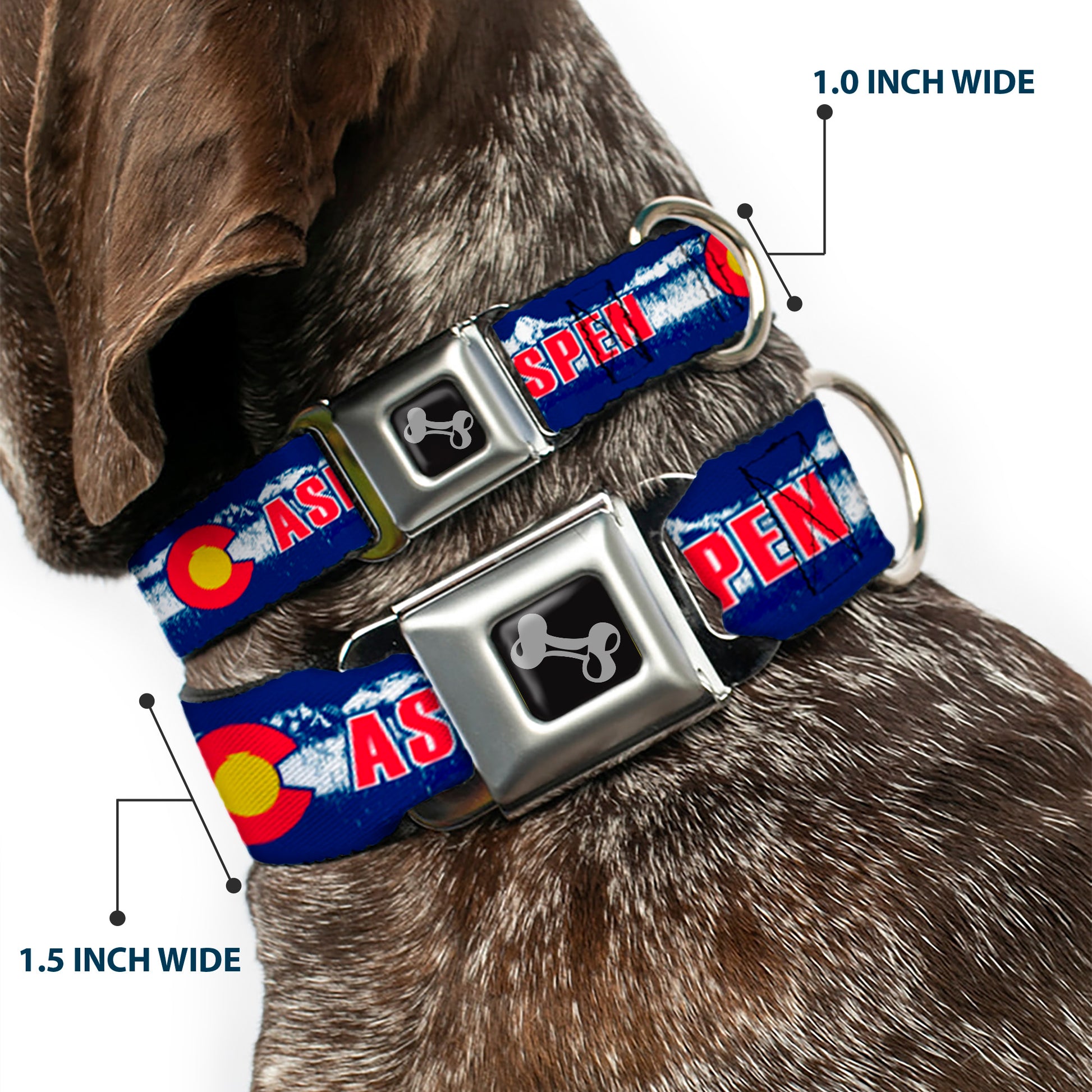 Dog Bone Seatbelt Buckle Collar - Colorado ASPEN Flag/Snowy Mountains Weathered Blue/White/Red/Yellows Seatbelt Buckle Collars Buckle-Down