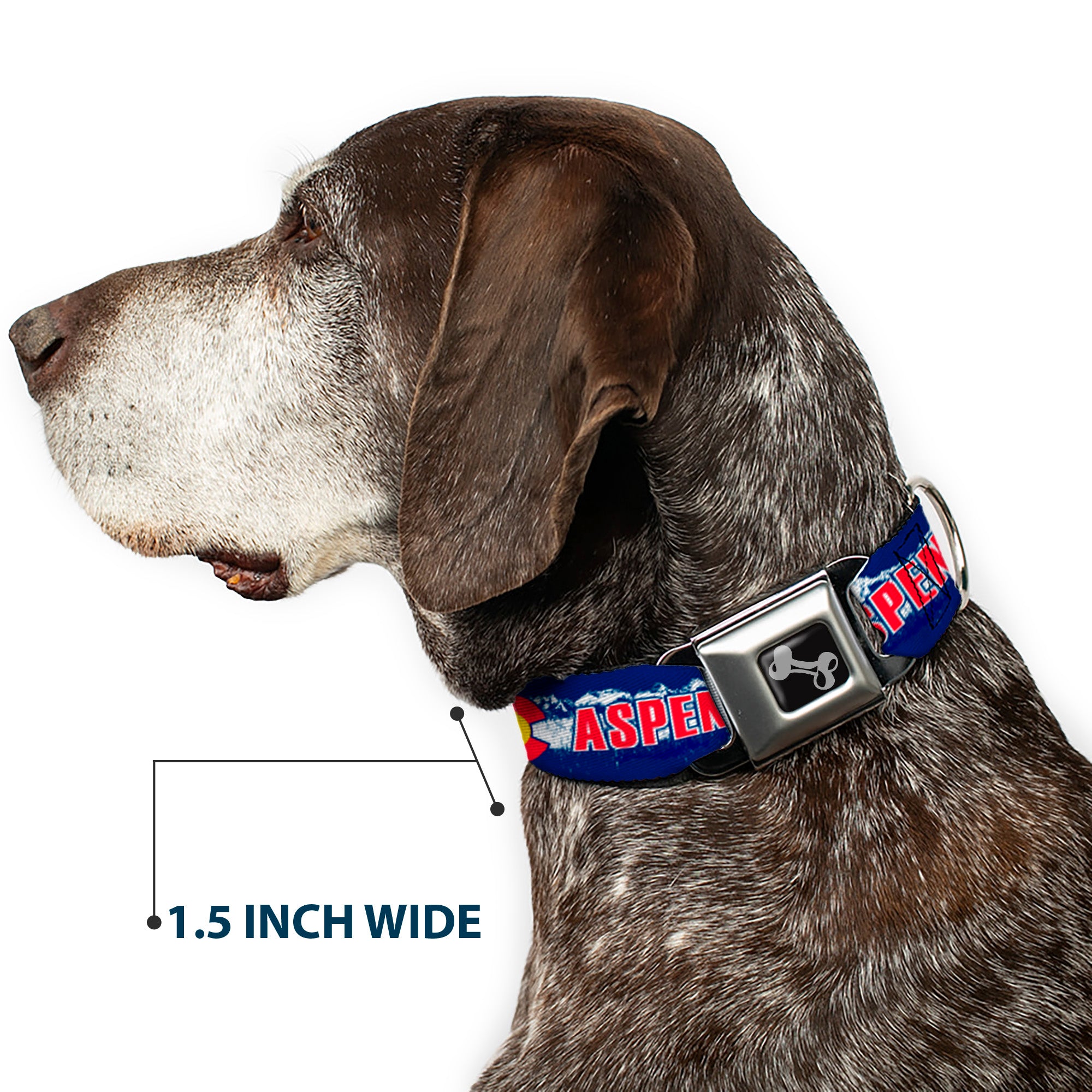 Dog Bone Seatbelt Buckle Collar - Colorado ASPEN Flag/Snowy Mountains Weathered Blue/White/Red/Yellows Seatbelt Buckle Collars Buckle-Down