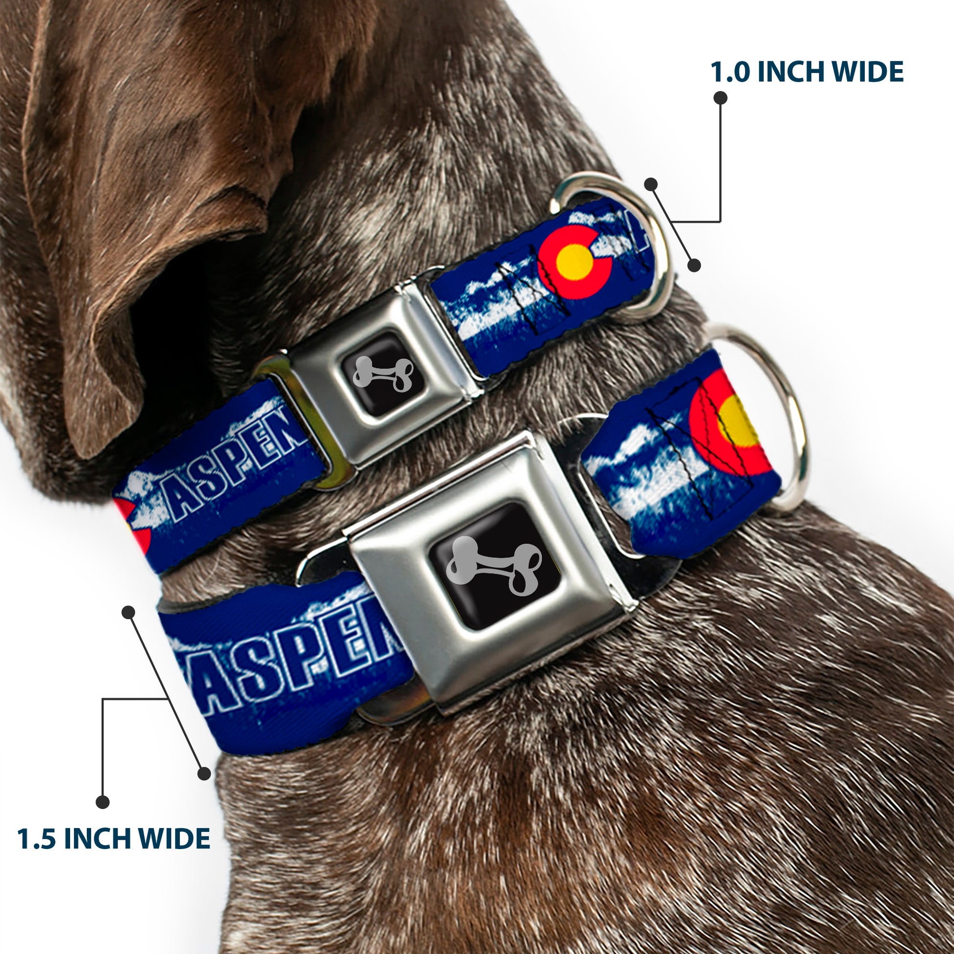 Dog Bone Seatbelt Buckle Collar - Colorado ASPEN Flag/Snowy Mountains Weathered2 Blue/White/Red/Yellows Seatbelt Buckle Collars Buckle-Down