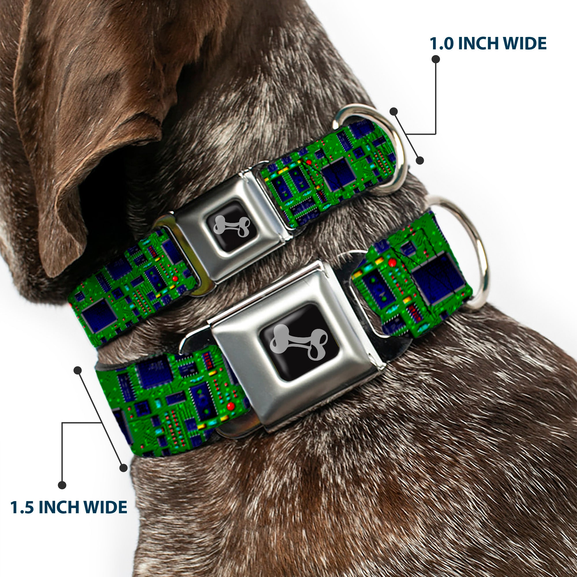 Dog Bone Seatbelt Buckle Collar - Circuit Board2 Seatbelt Buckle Collars Buckle-Down