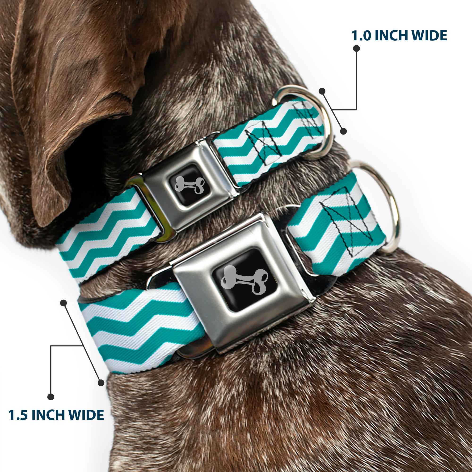 Dog Bone Seatbelt Buckle Collar - Chevron Stripe White/Teal Seatbelt Buckle Collars Buckle-Down