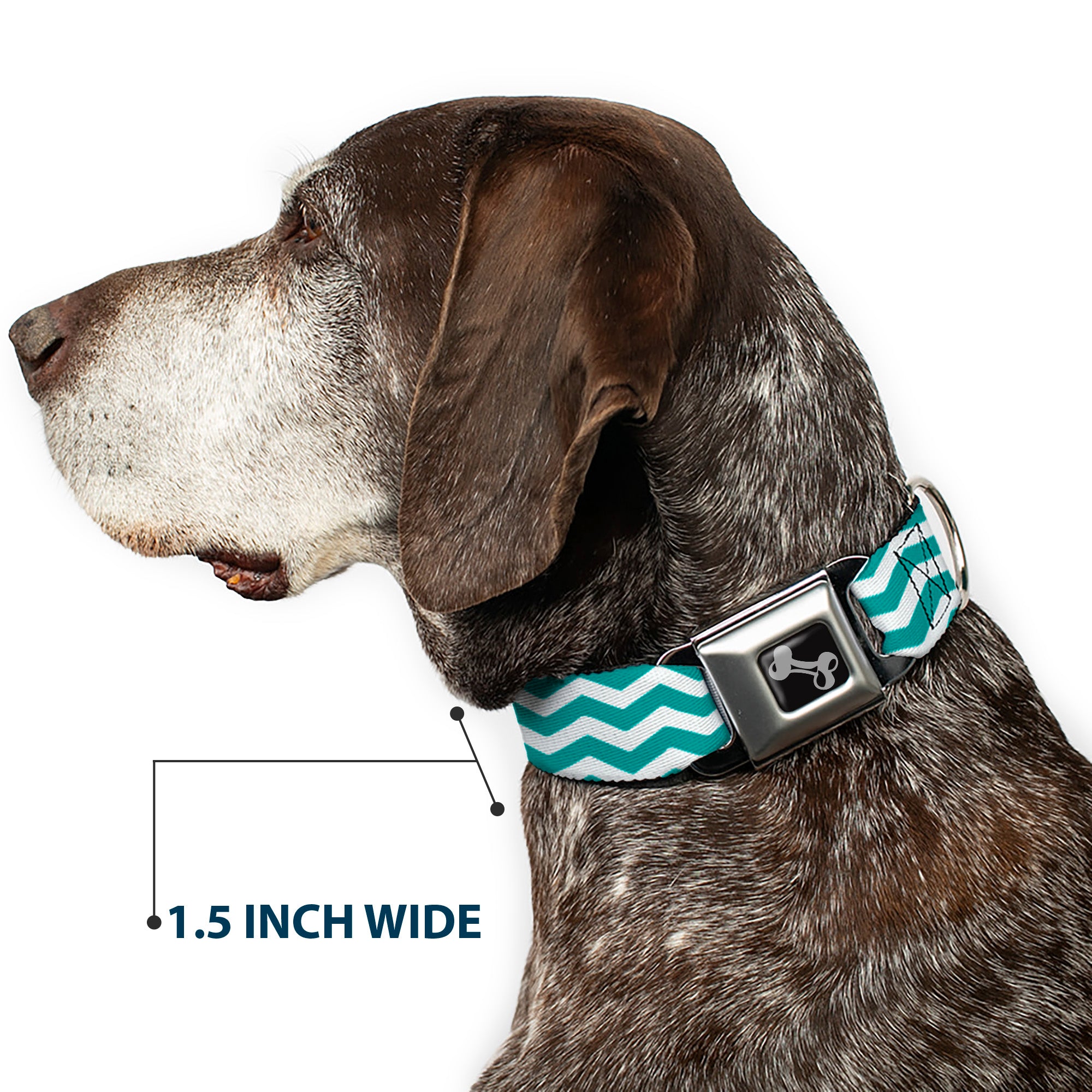 Dog Bone Seatbelt Buckle Collar - Chevron Stripe White/Teal Seatbelt Buckle Collars Buckle-Down