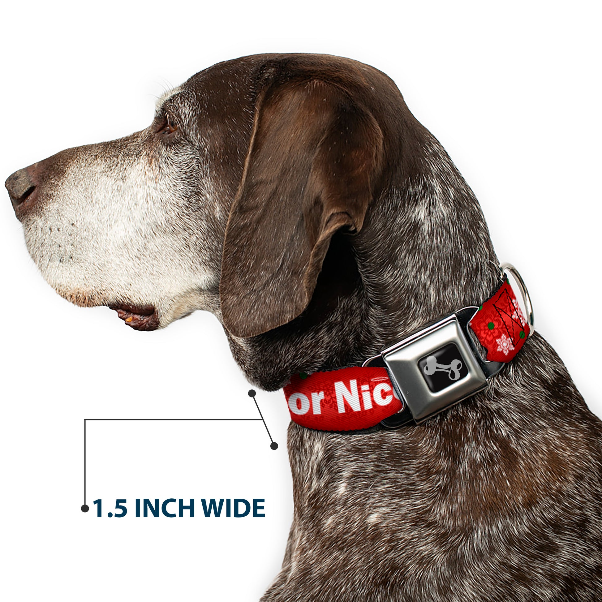 Dog Bone Seatbelt Buckle Collar - Christmas NAUGHTY OR NICE/Snowflakes Reds/White/Green Seatbelt Buckle Collars Buckle-Down