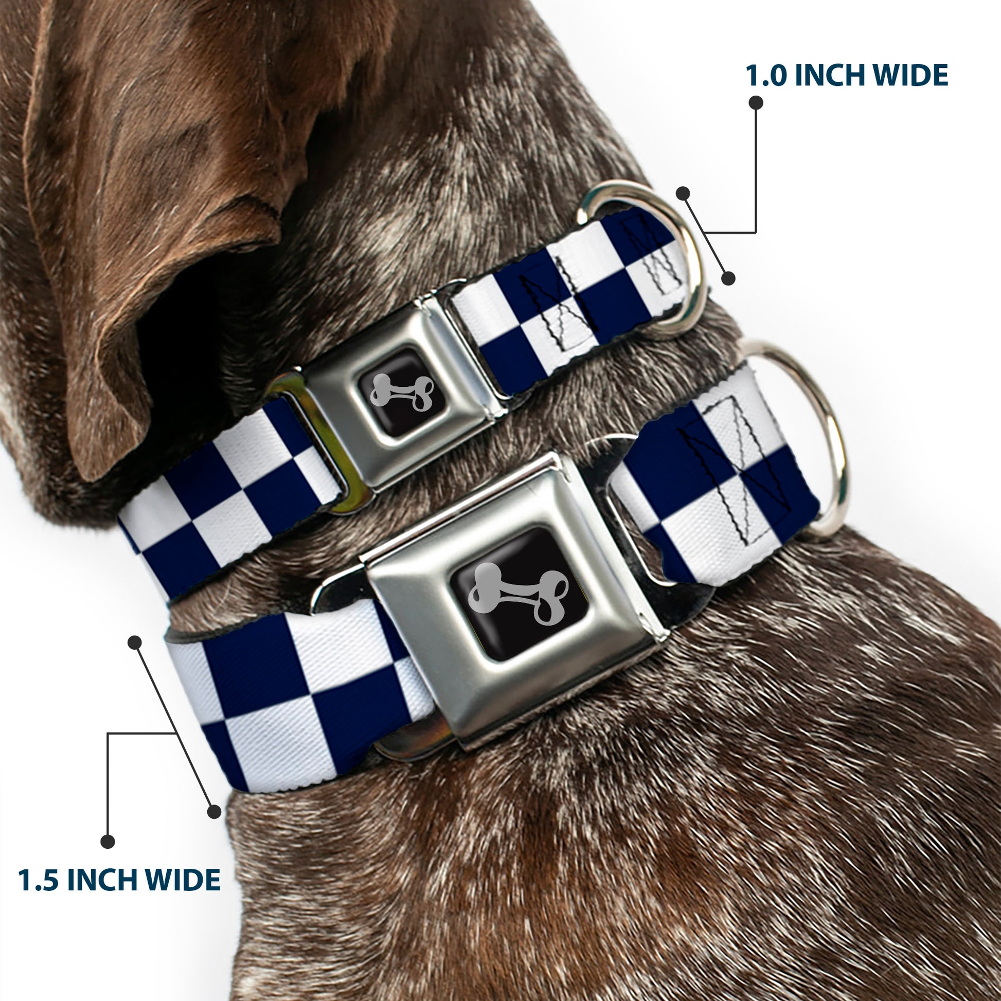 Dog Bone Black/Silver Seatbelt Buckle Collar - Checker Midnight Blue/White Seatbelt Buckle Collars Buckle-Down