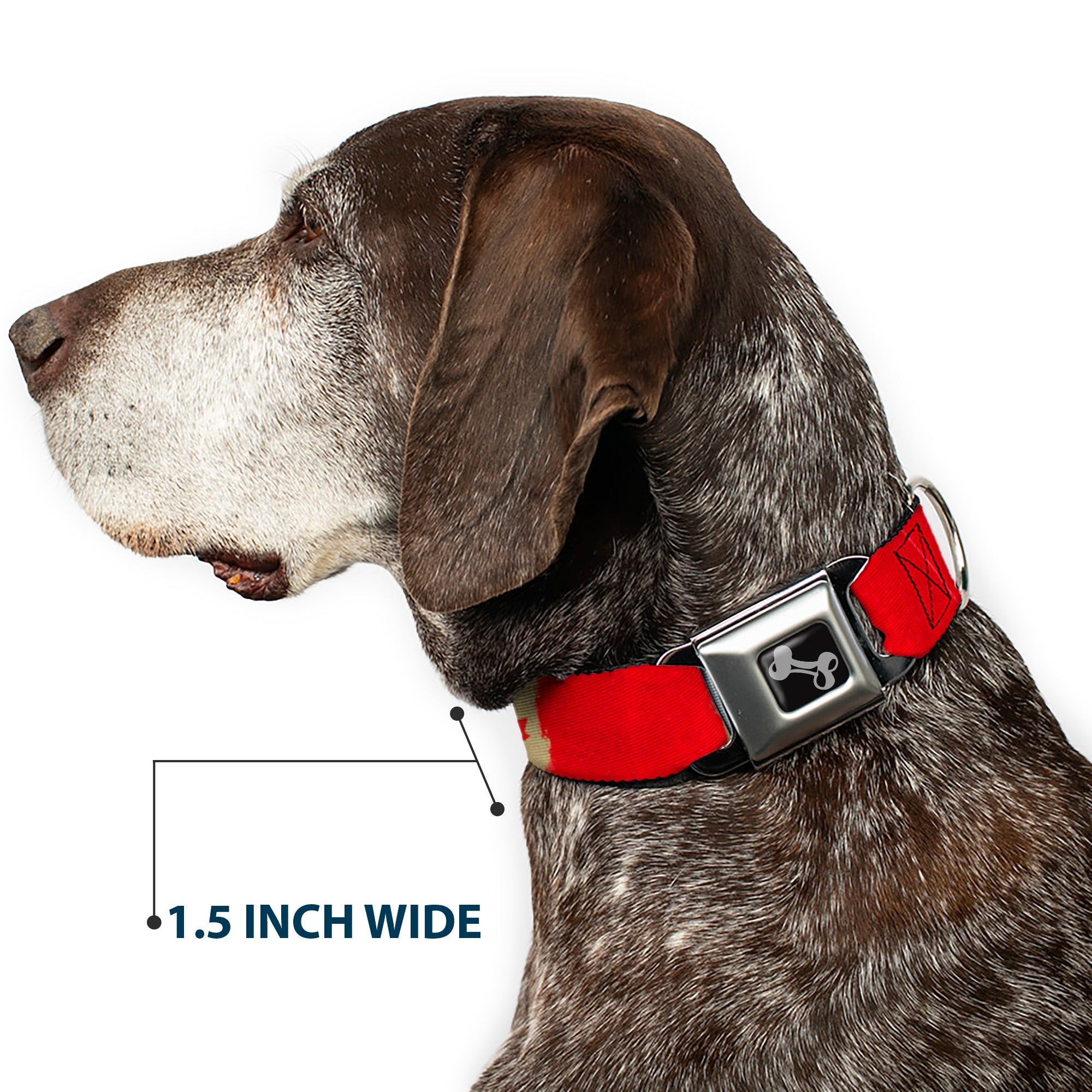 Dog Bone Seatbelt Buckle Collar - Canada Flag Painted Seatbelt Buckle Collars Buckle-Down