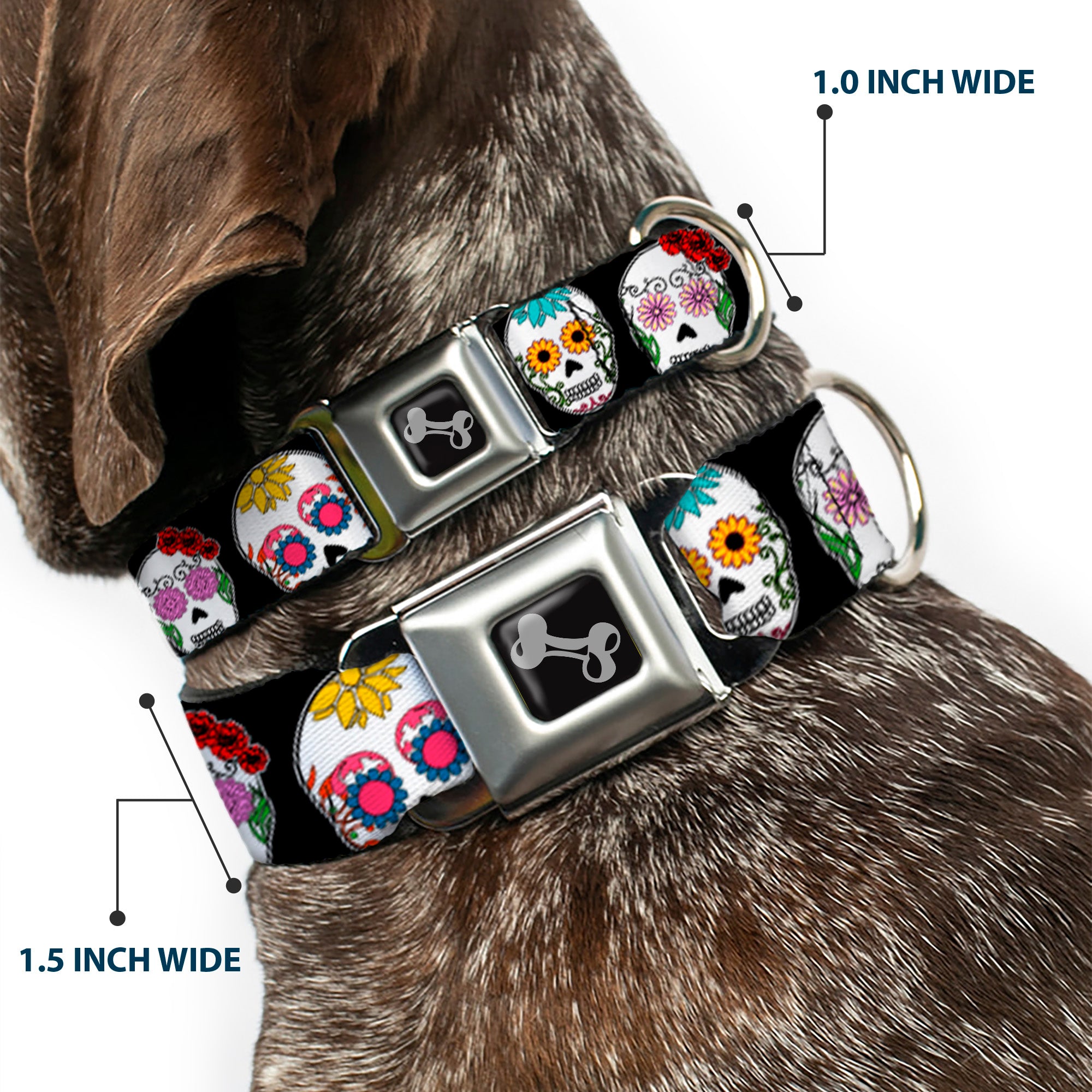 Dog Bone Seatbelt Buckle Collar - Staggered Sugar Skulls CLOSE-UP Black/Multi Color Seatbelt Buckle Collars Buckle-Down