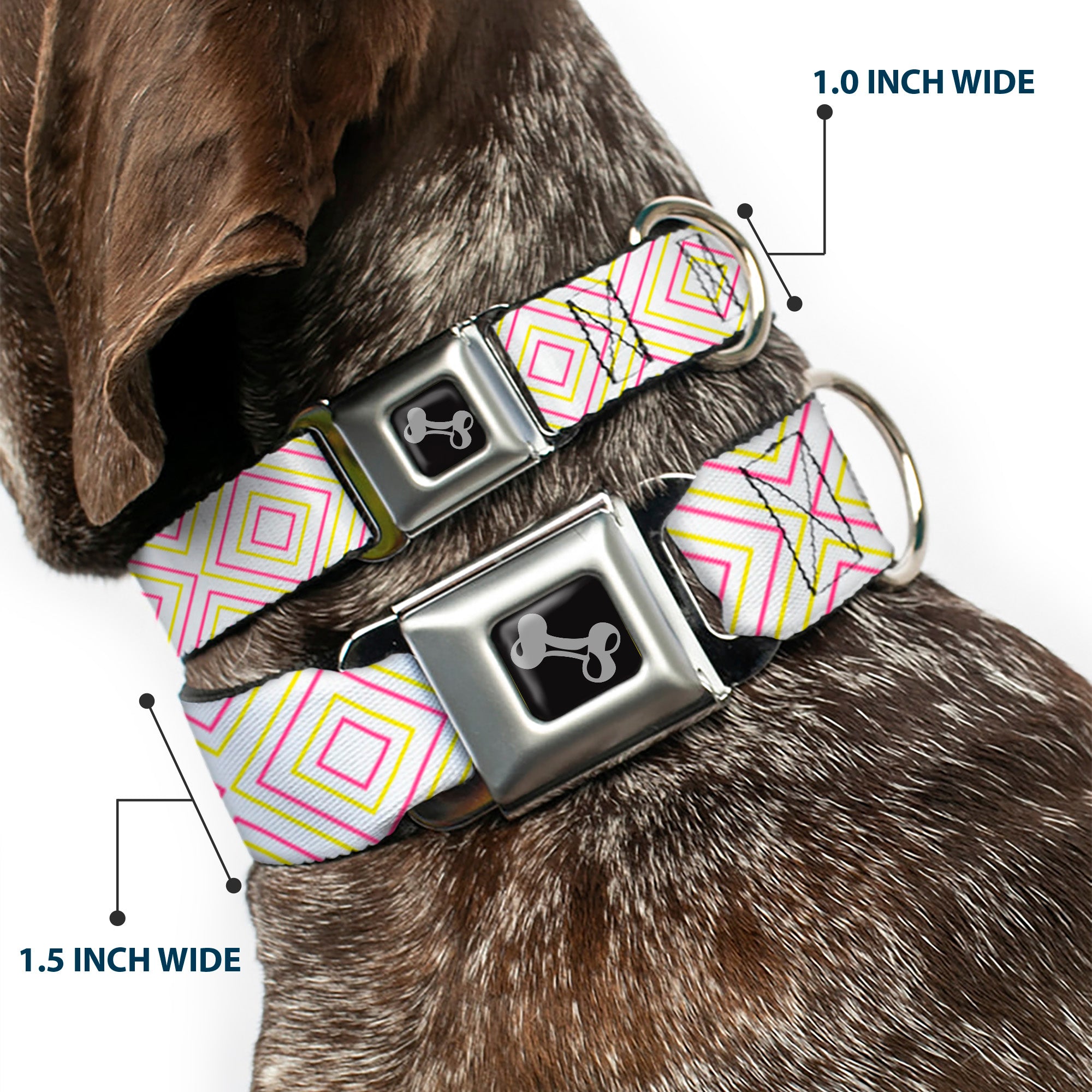 Dog Bone Seatbelt Buckle Collar - Square Lines White/Fluorescent Orange/Pink/Yellow Seatbelt Buckle Collars Buckle-Down
