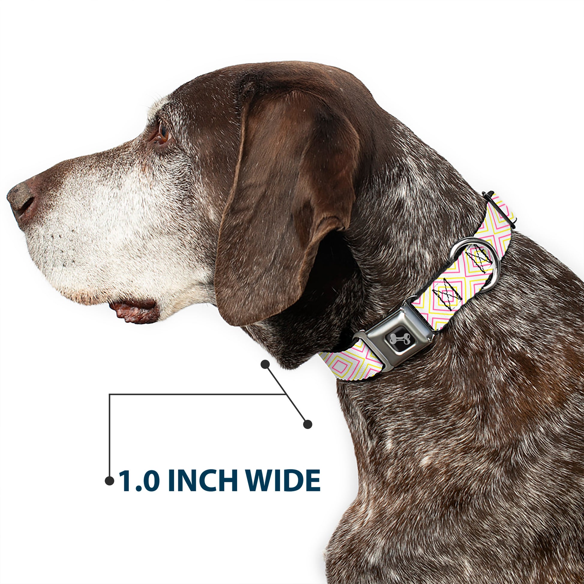 Dog Bone Seatbelt Buckle Collar - Square Lines White/Fluorescent Orange/Pink/Yellow Seatbelt Buckle Collars Buckle-Down