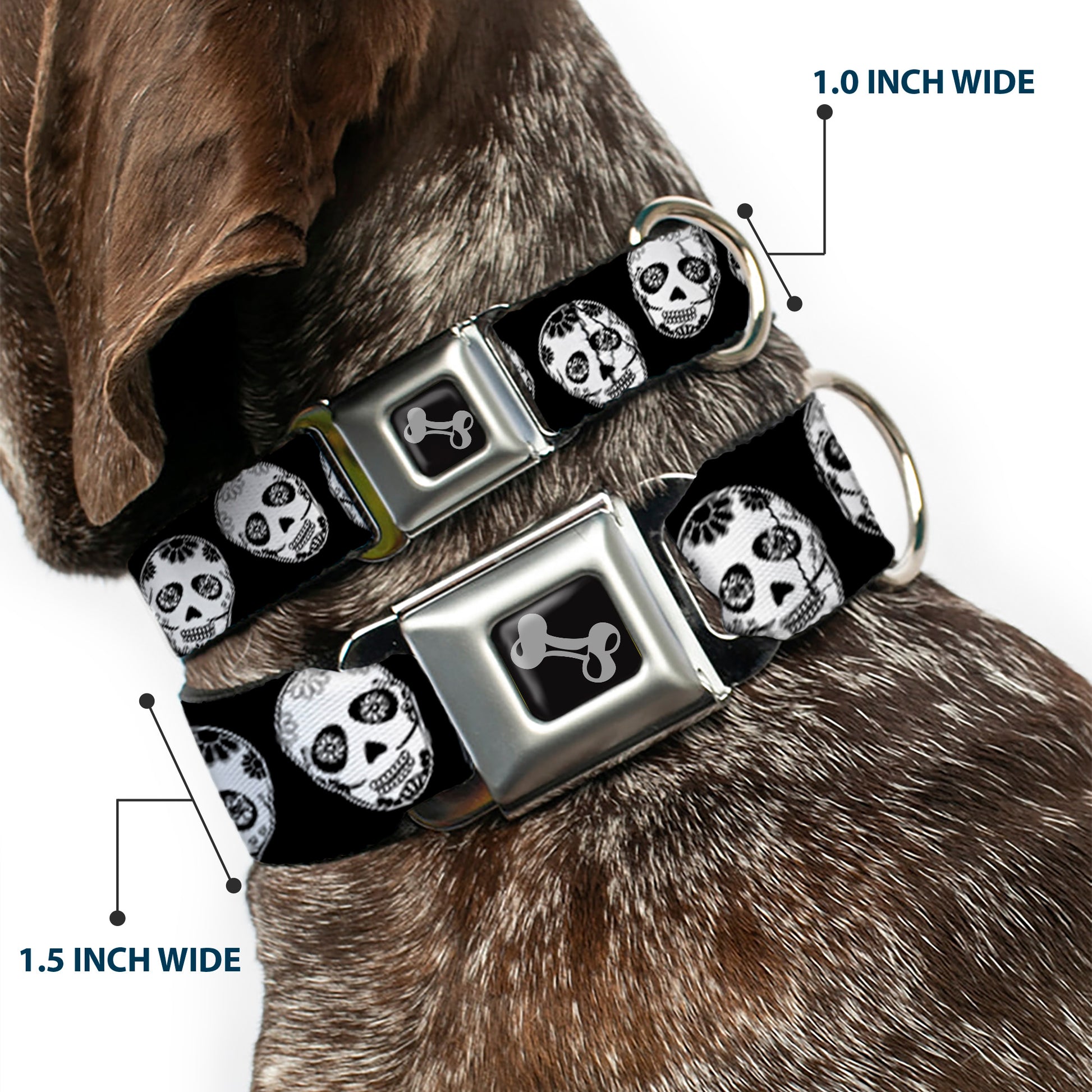 Dog Bone Seatbelt Buckle Collar - Sugar Skulls Black/White/Black Seatbelt Buckle Collars Buckle-Down