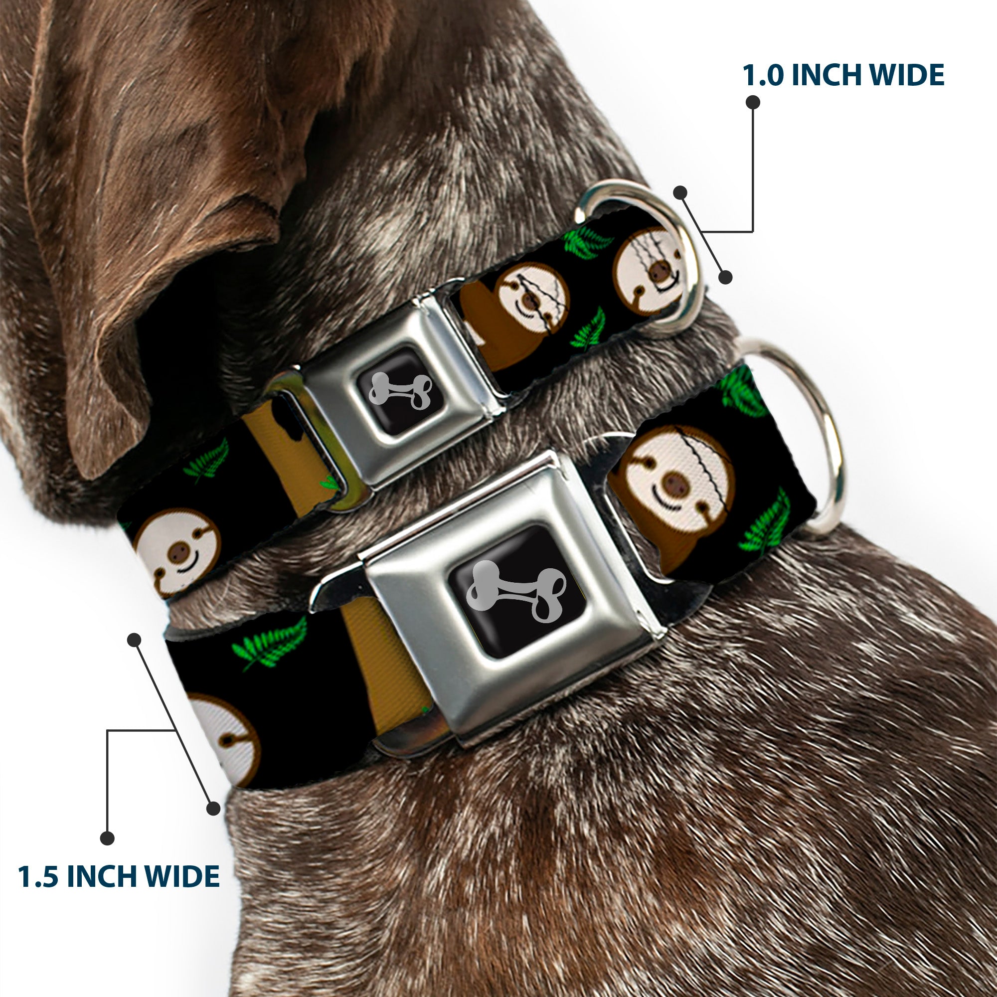 Dog Bone Seatbelt Buckle Collar - Sloth Face/Hanging Black Seatbelt Buckle Collars Buckle-Down