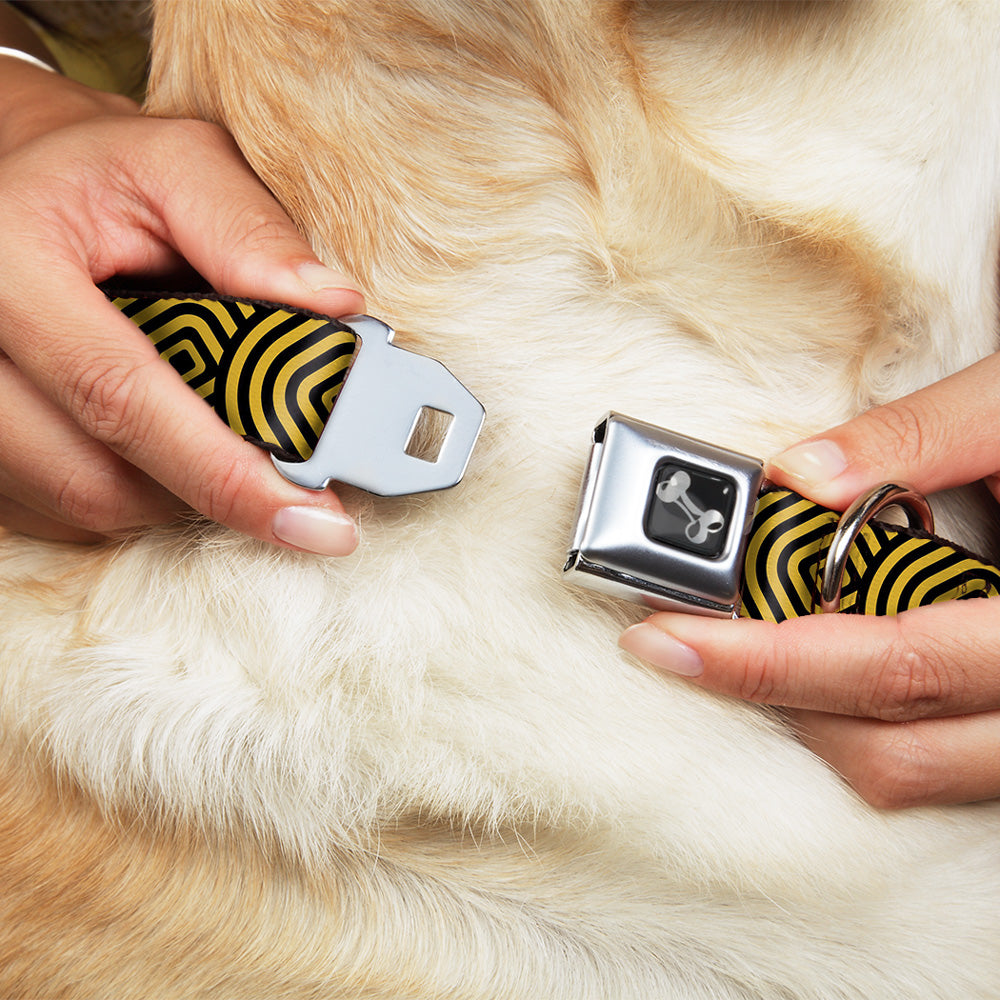 Dog Bone Seatbelt Buckle Collar - Square Target Gold/Black Seatbelt Buckle Collars Buckle-Down