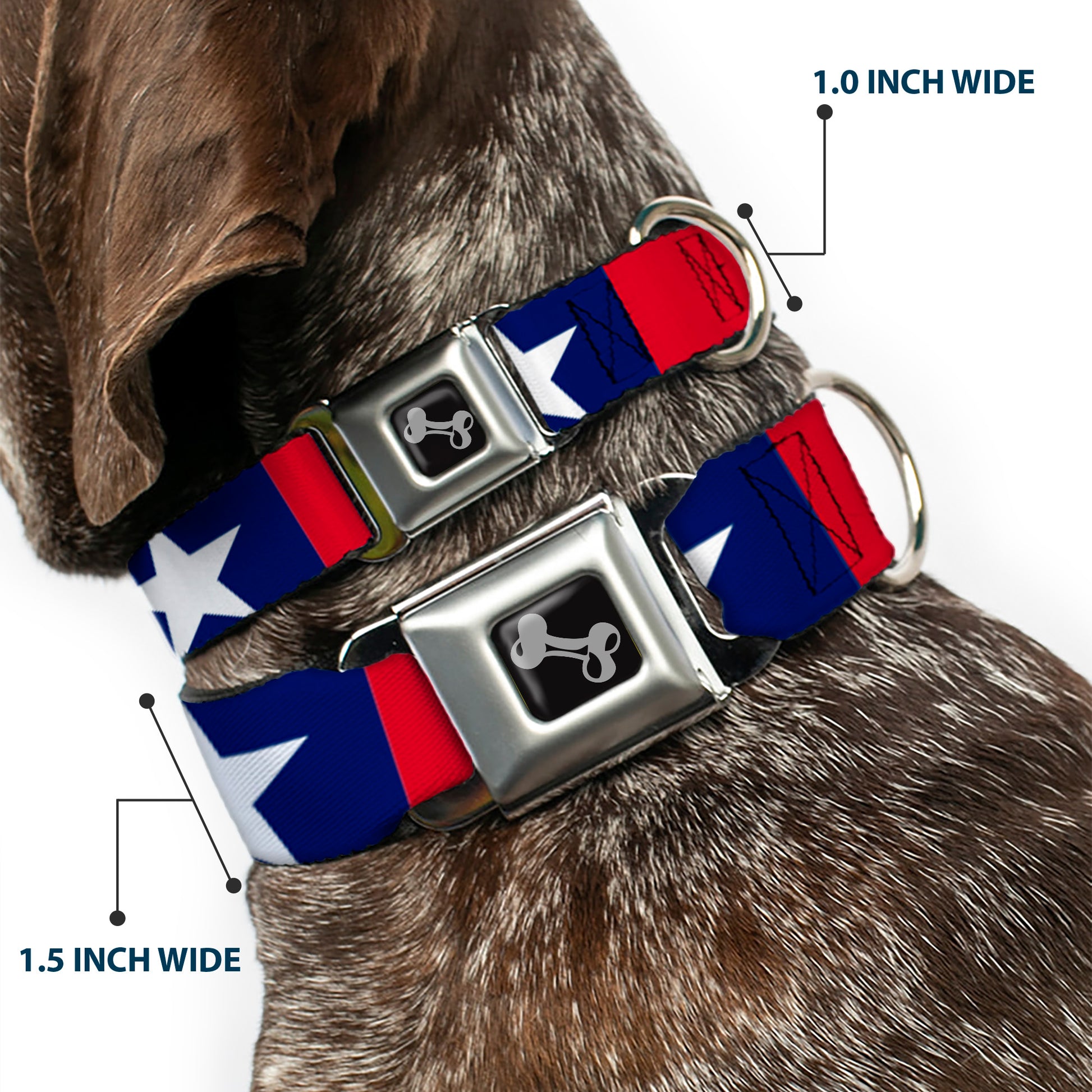 Dog Bone Seatbelt Buckle Collar - Stars & Stripes Ribbon Red/Blue/White Seatbelt Buckle Collars Buckle-Down
