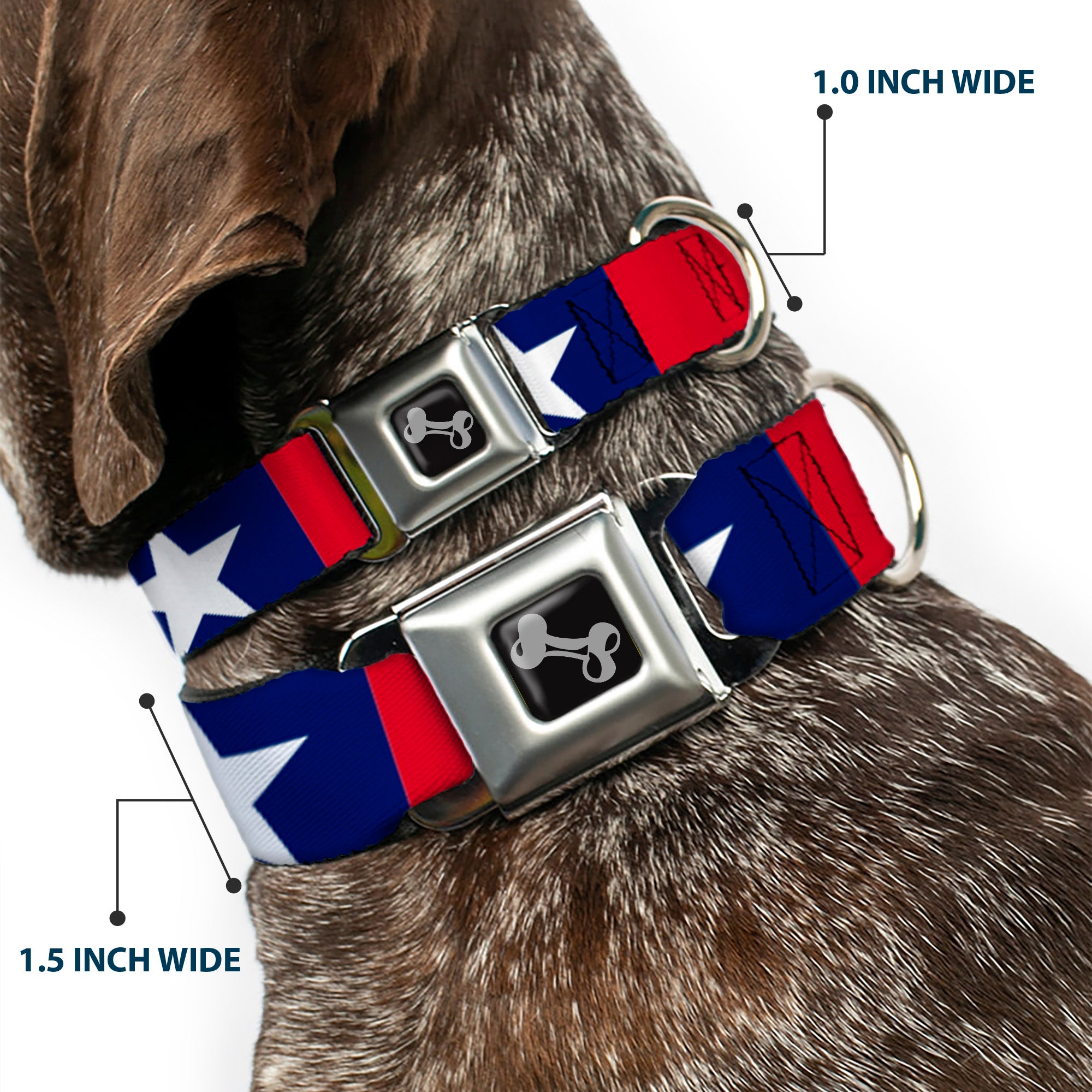 Dog Bone Seatbelt Buckle Collar - Stars & Stripes Ribbon Red/Blue/White Seatbelt Buckle Collars Buckle-Down