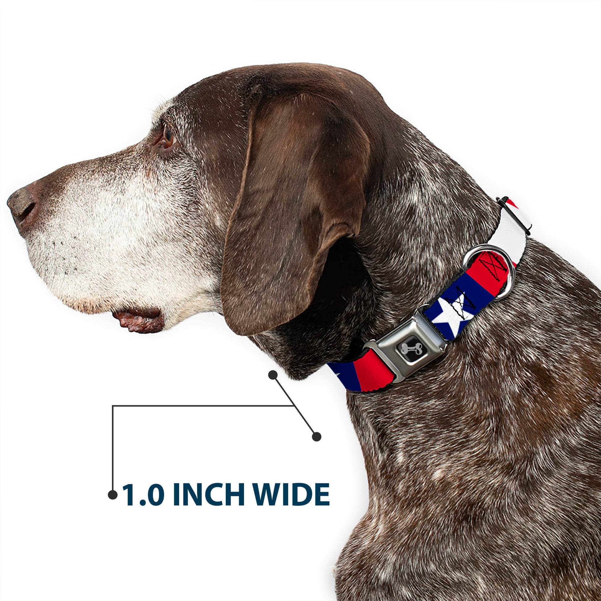 Dog Bone Seatbelt Buckle Collar - Stars & Stripes Ribbon Red/Blue/White Seatbelt Buckle Collars Buckle-Down
